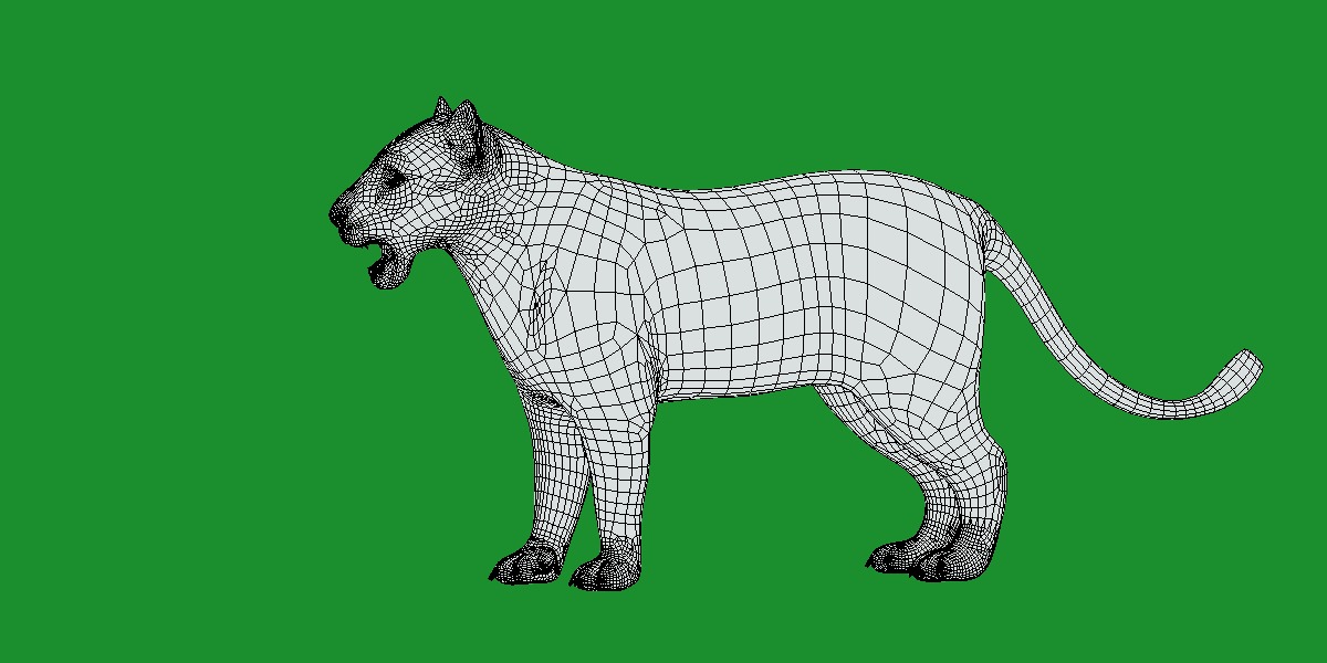Leopard Cub Low-poly 3D model_9