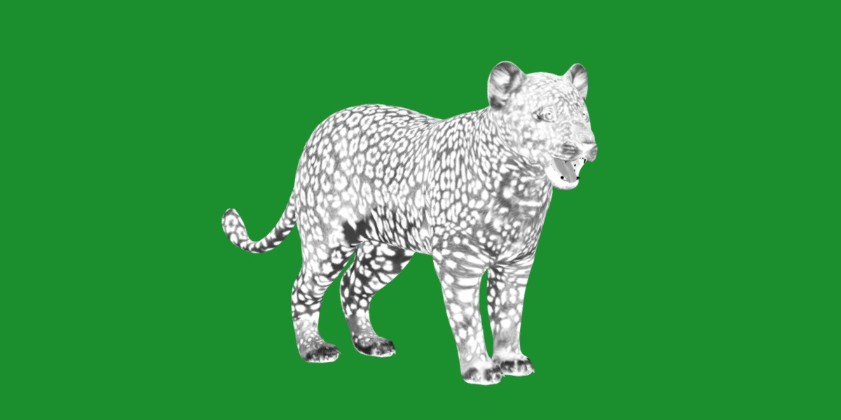 Leopard Cub Low-poly 3D model_5