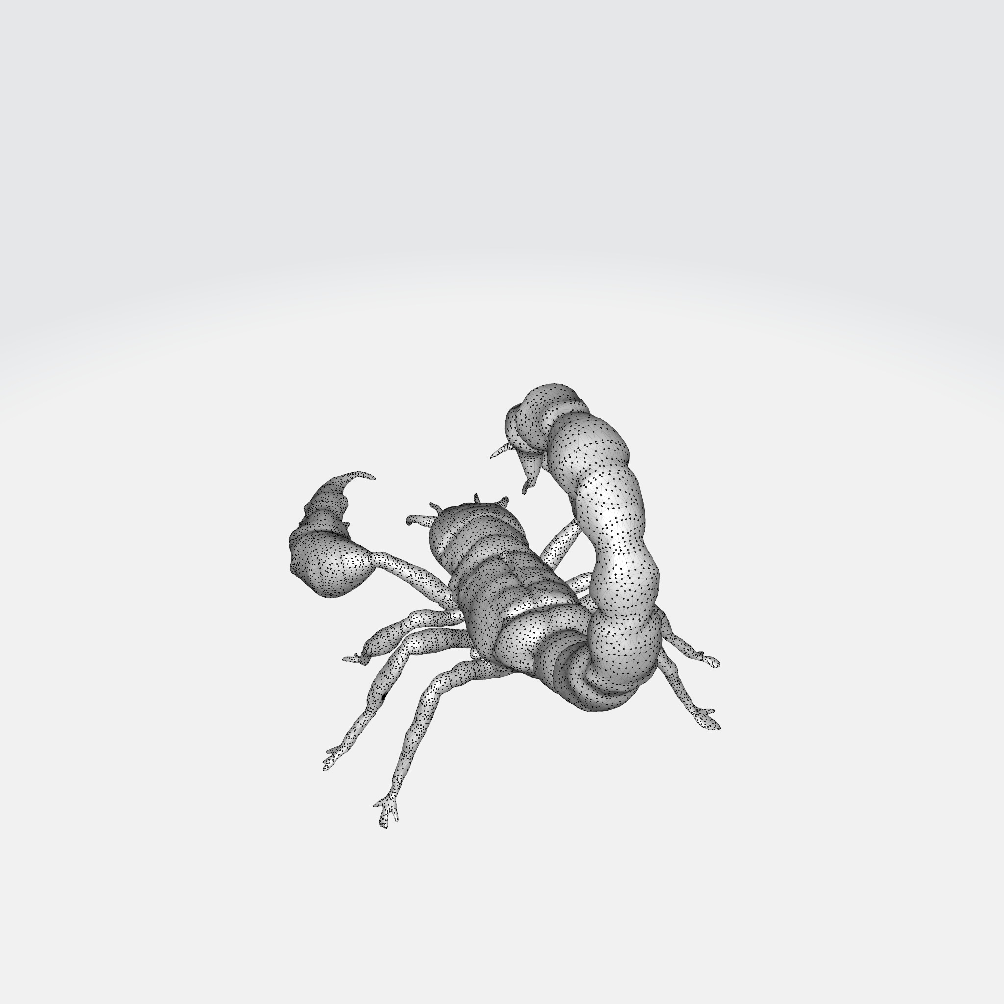 Realistic Scorpion 3D model_9