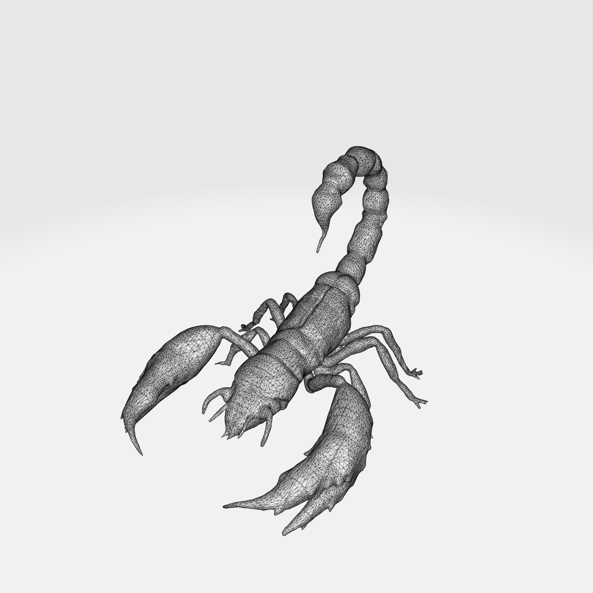 Realistic Scorpion 3D model_6