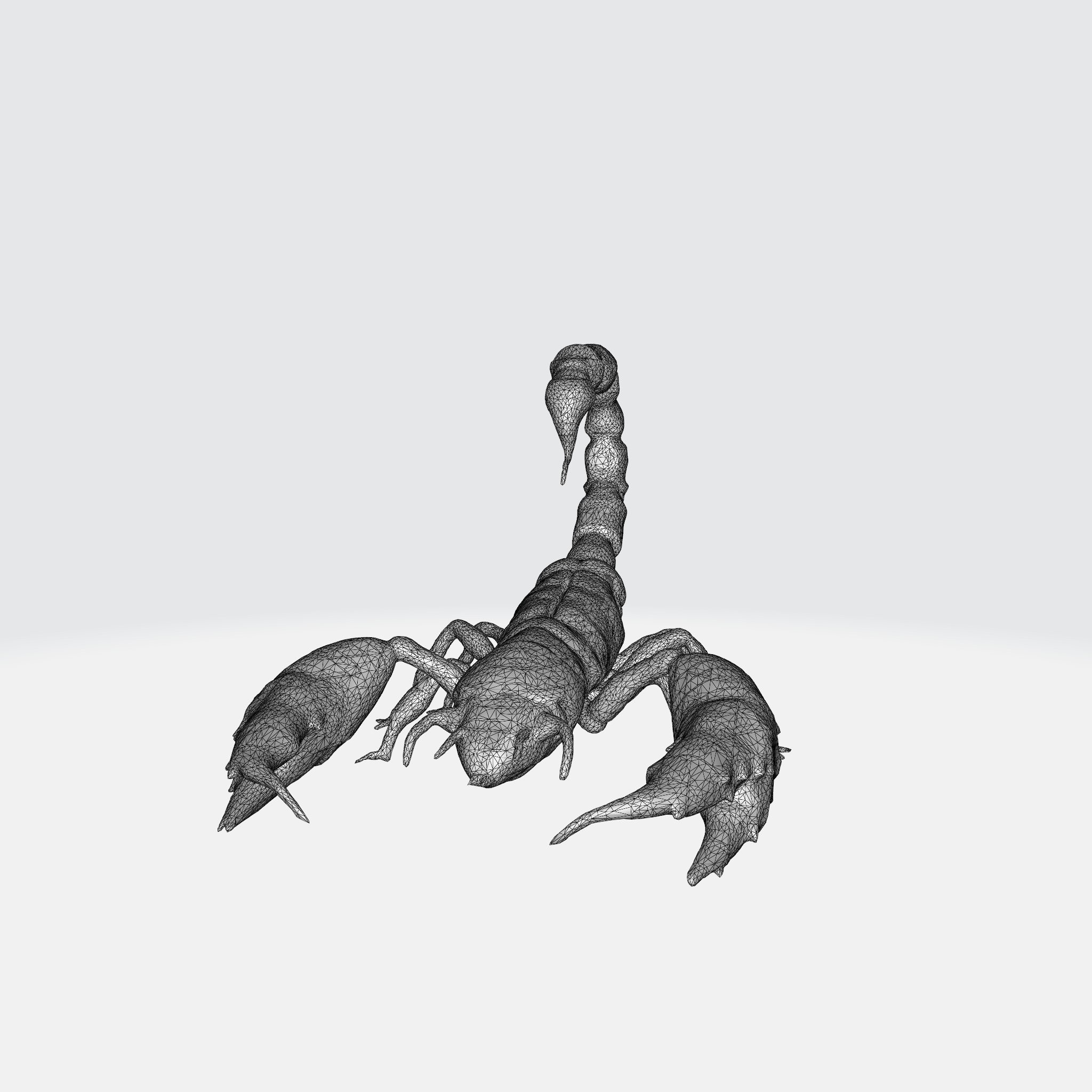Realistic Scorpion 3D model_7