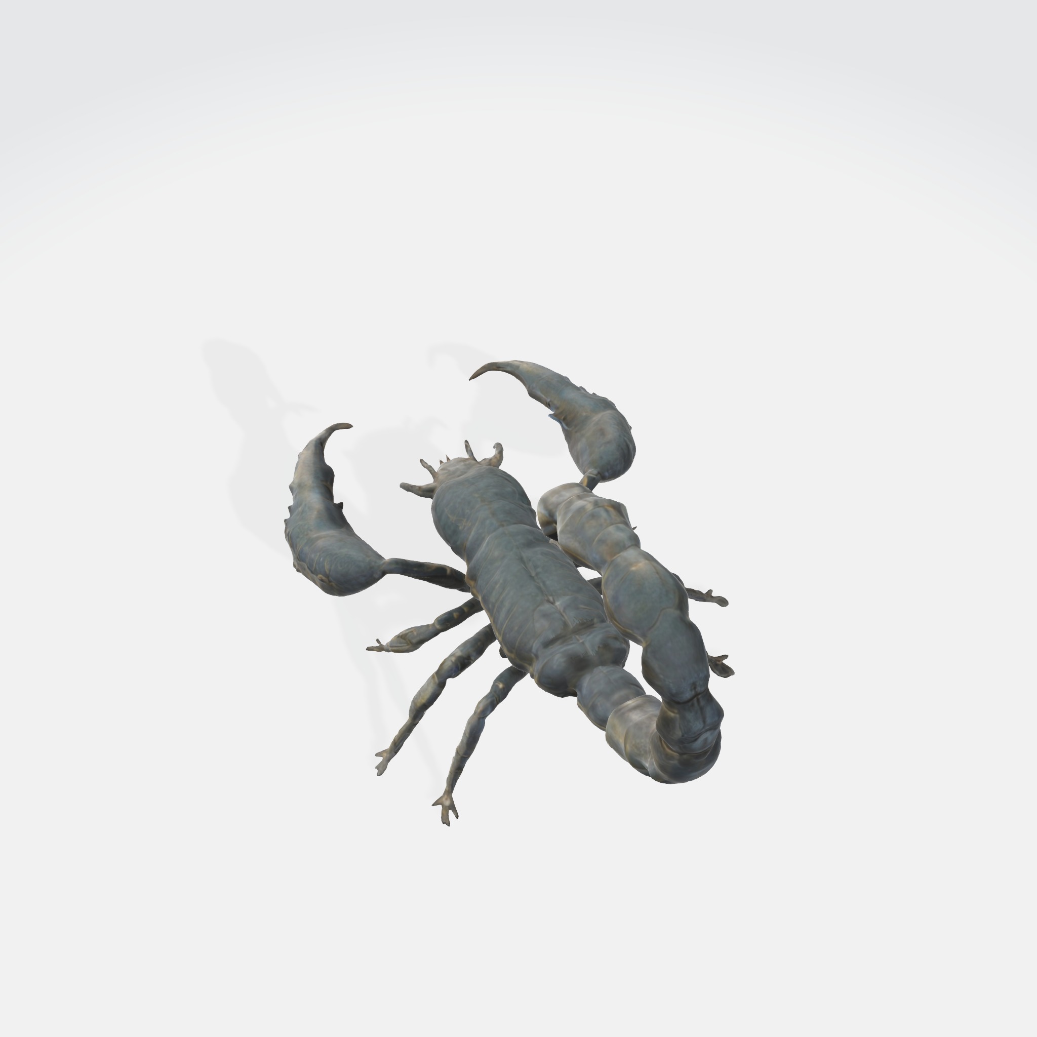 Realistic Scorpion 3D model_3