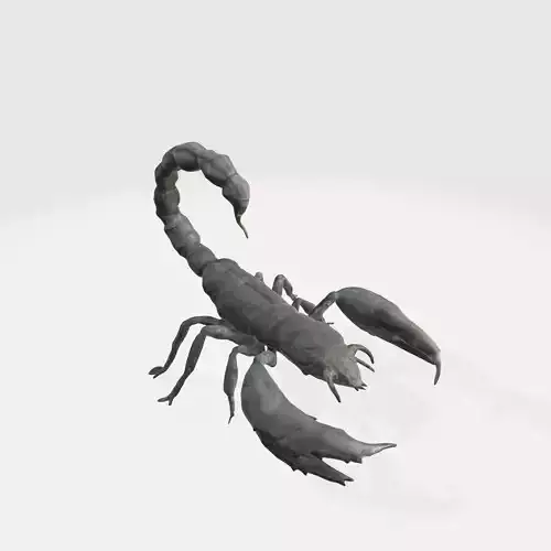 Realistic Scorpion