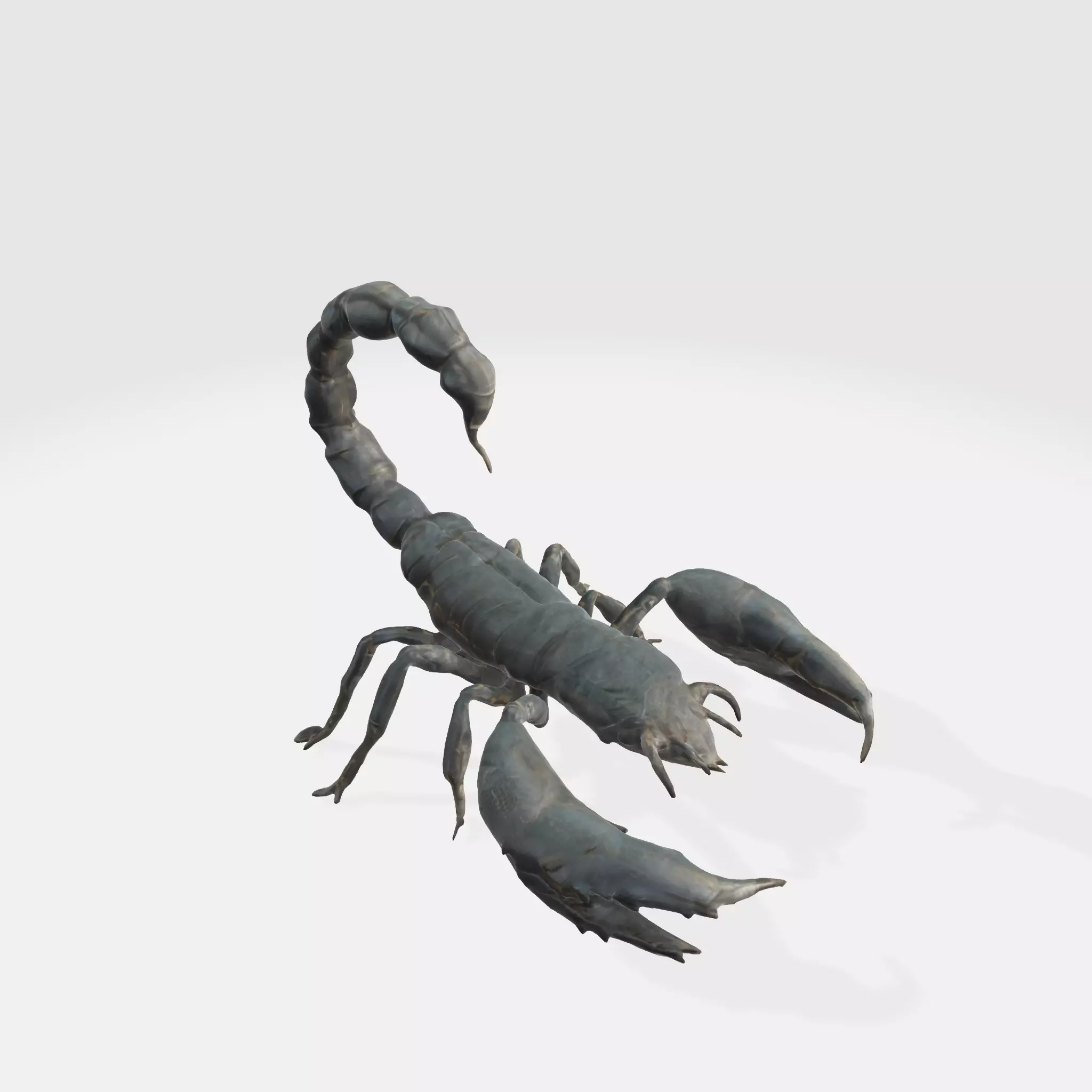 Realistic Scorpion 3D model_0