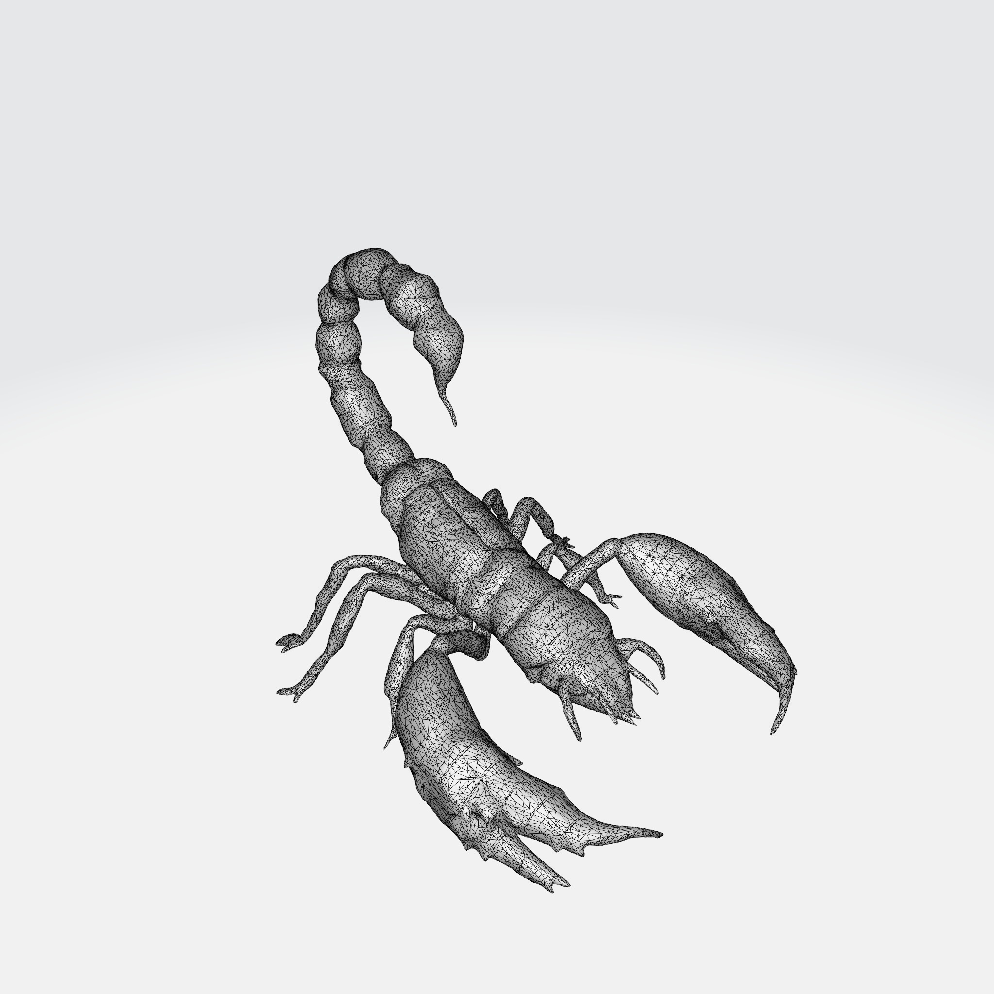 Realistic Scorpion 3D model_5