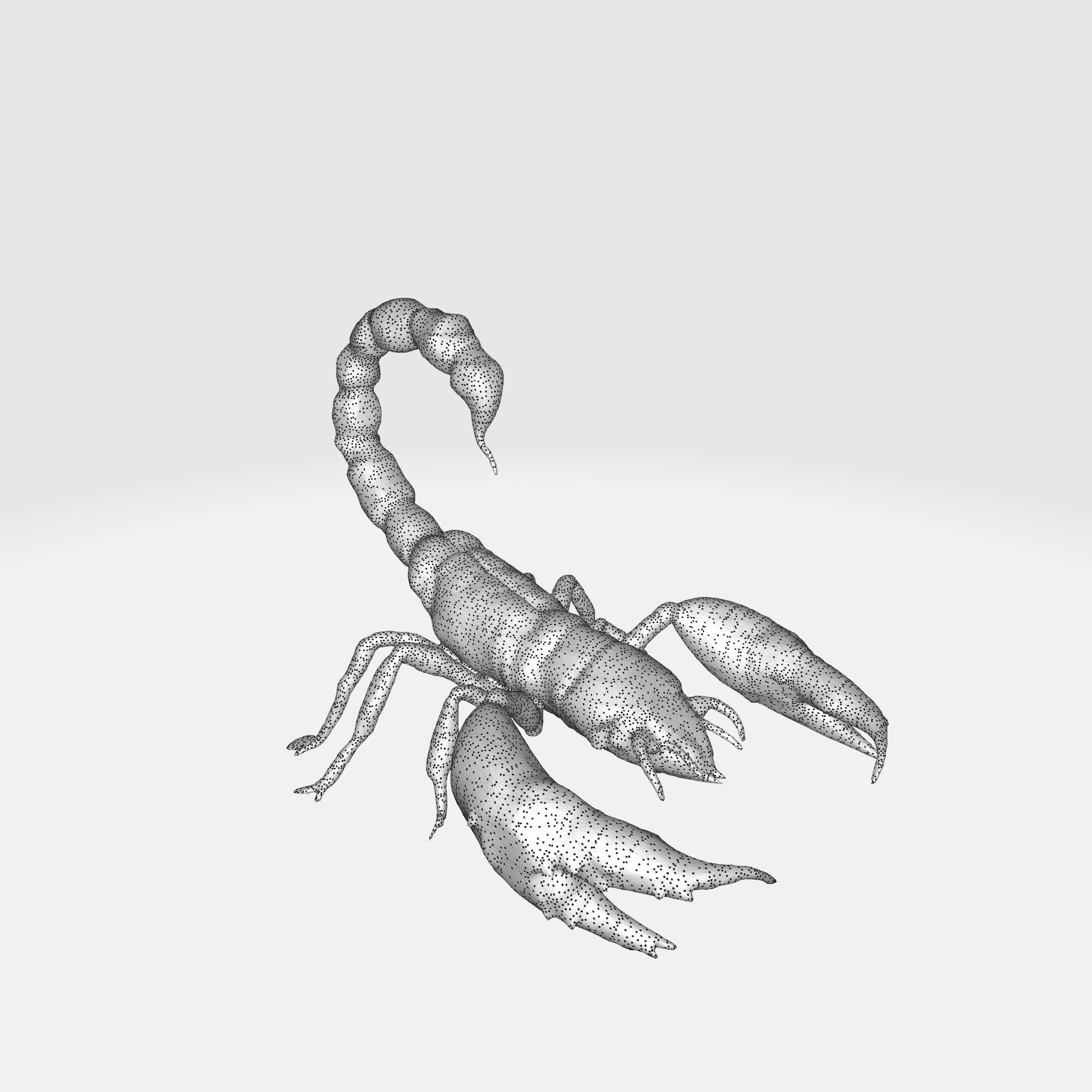 Realistic Scorpion 3D model_8