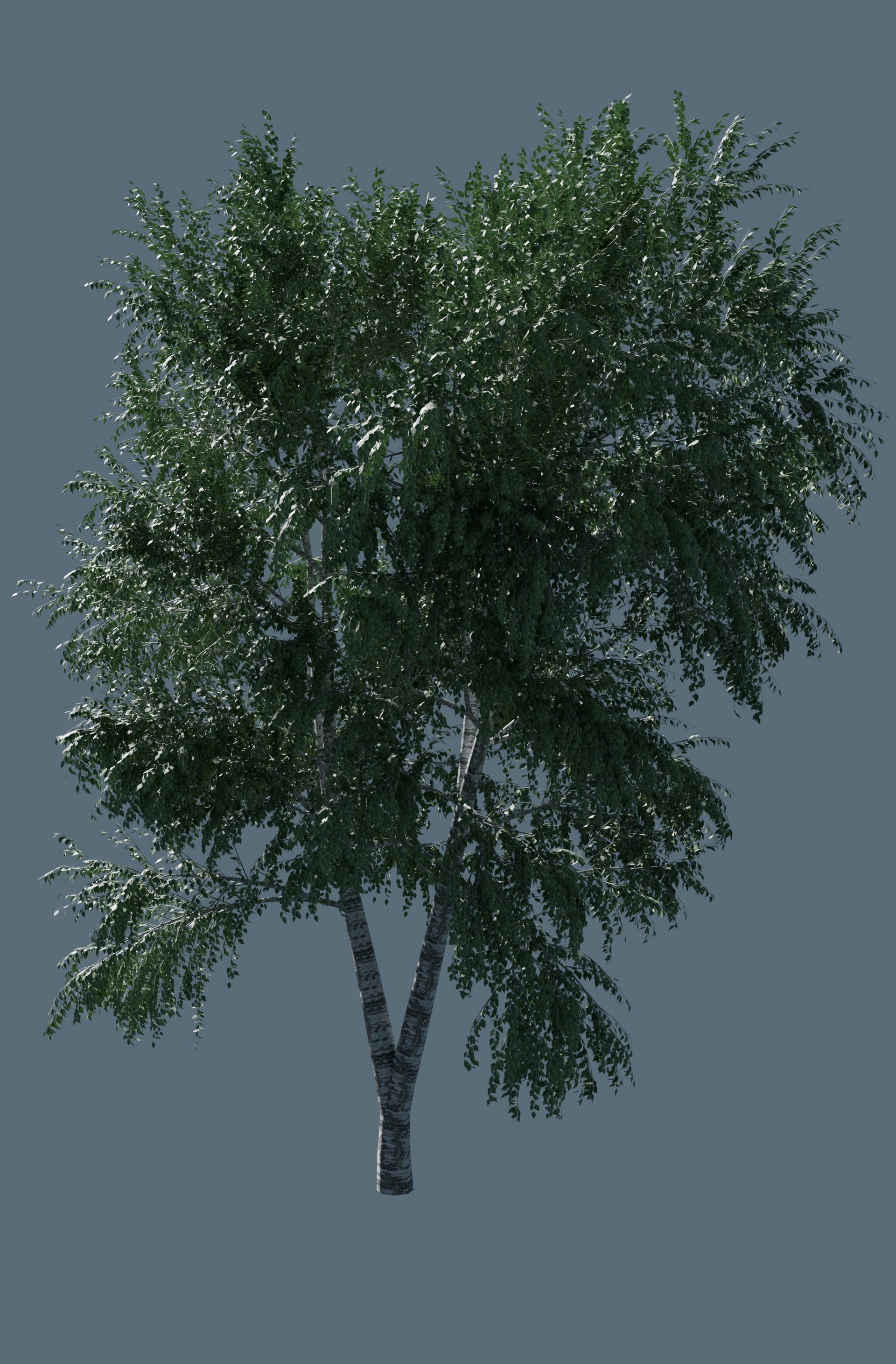 3D tree 3D model_4