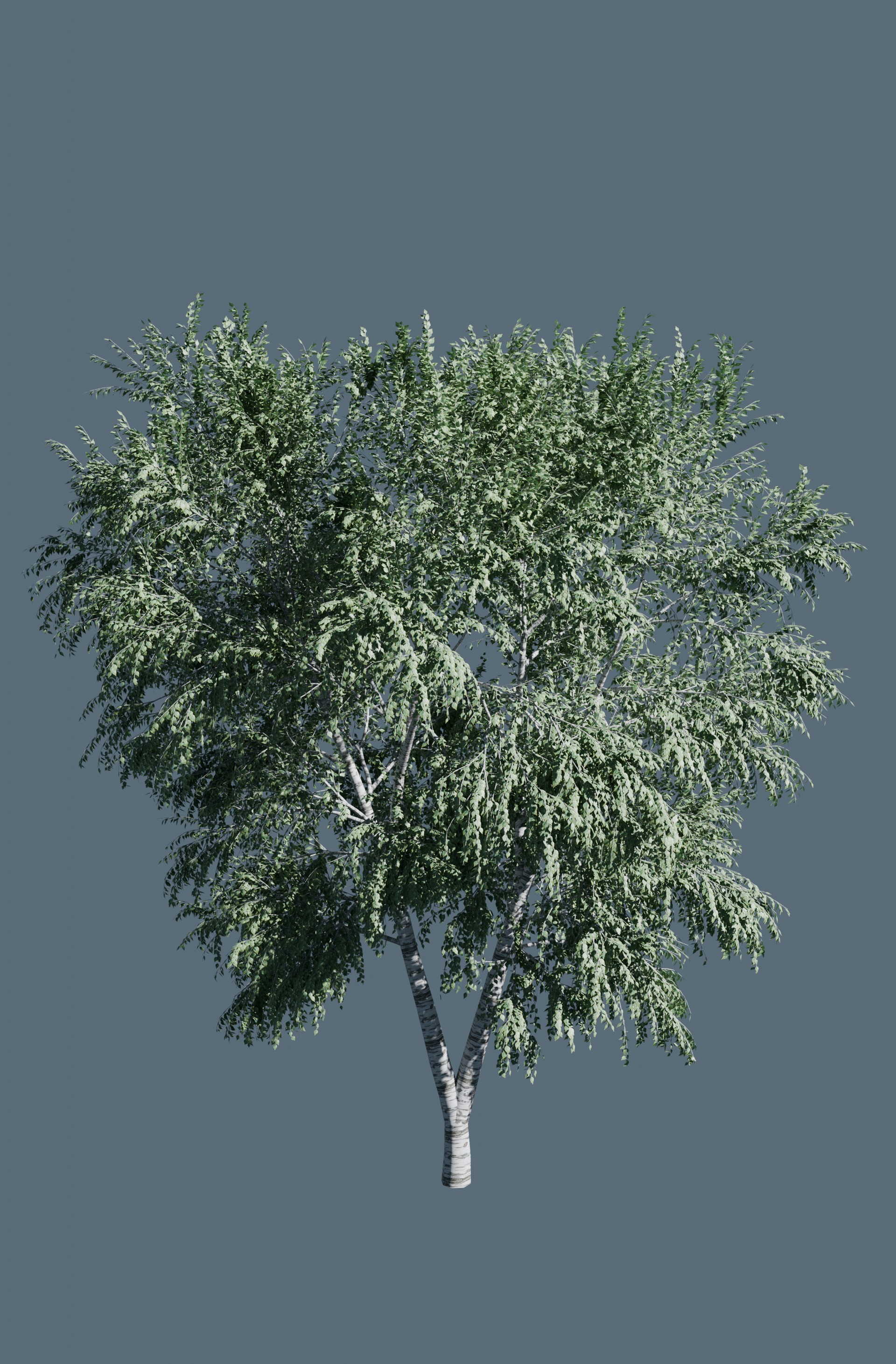 3D tree 3D model_3