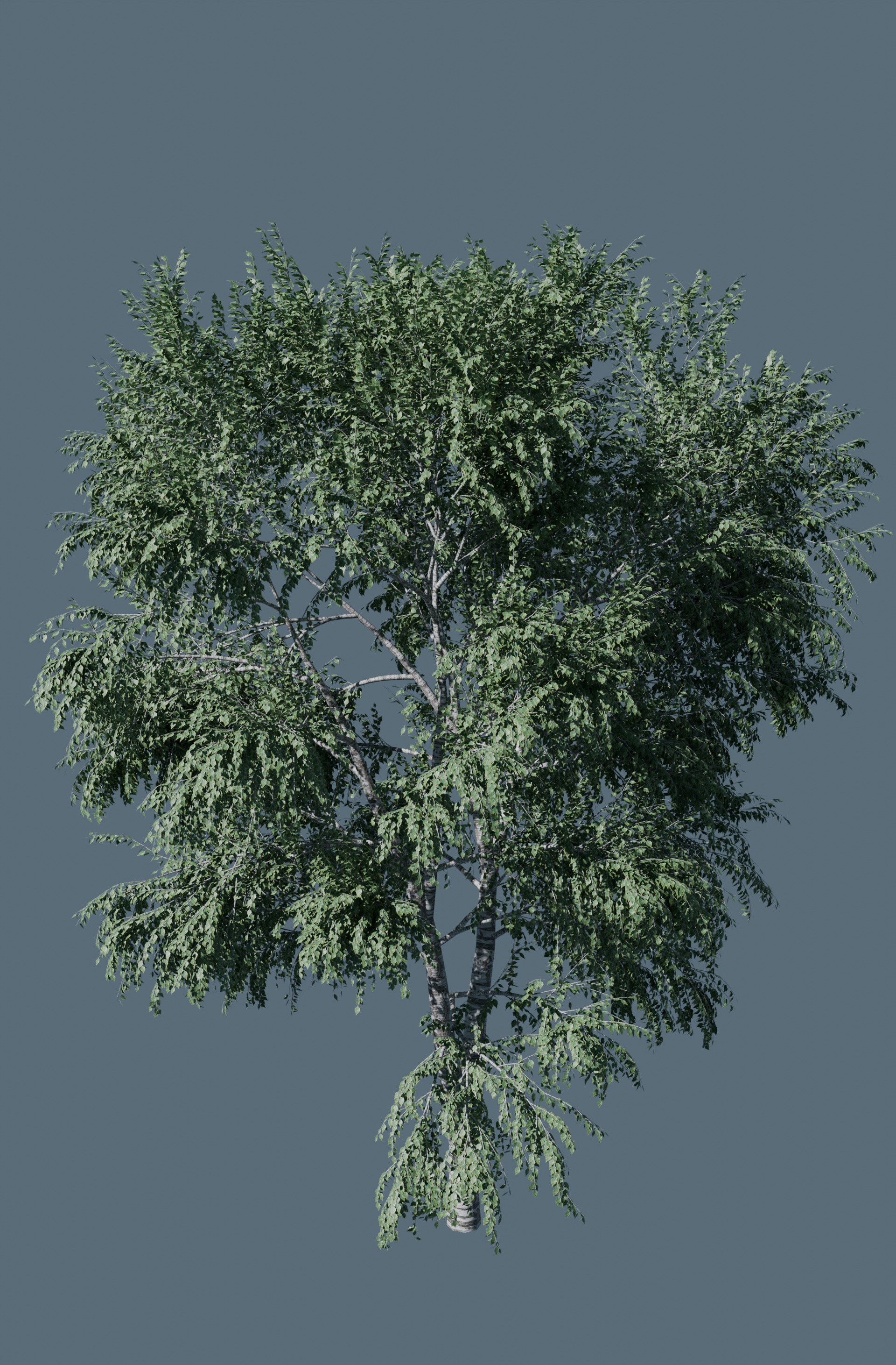 3D tree 3D model_1