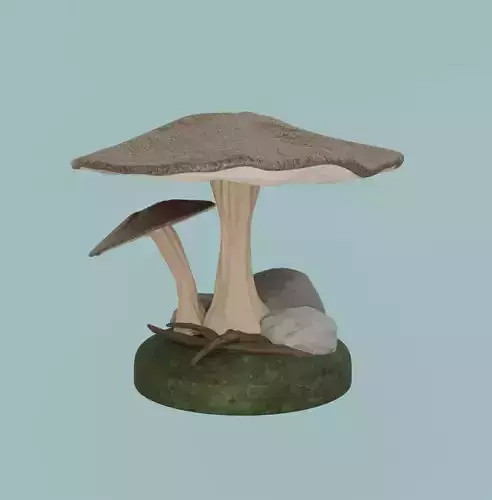 mushroom