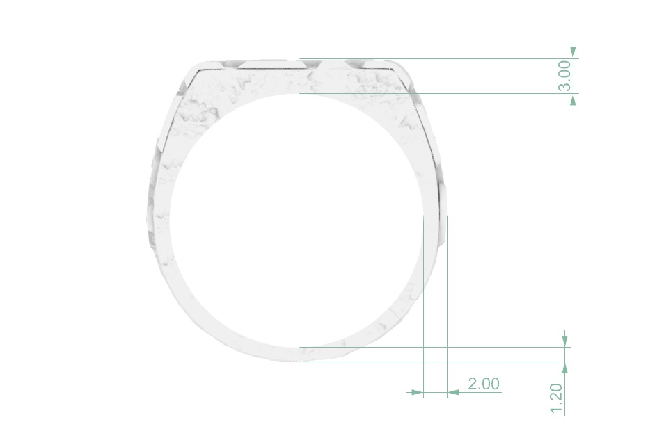 NUGGETS RING  3D print model_5