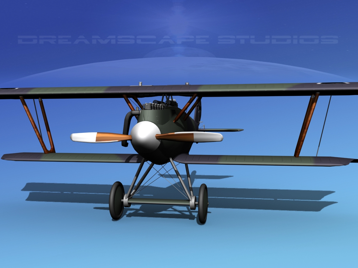 Pfalz DIII Historic Fighter V13 3D model_5