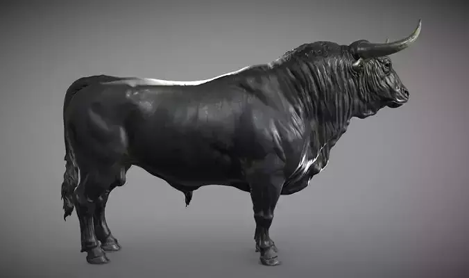 Bull - TPose - High Poly  3D model