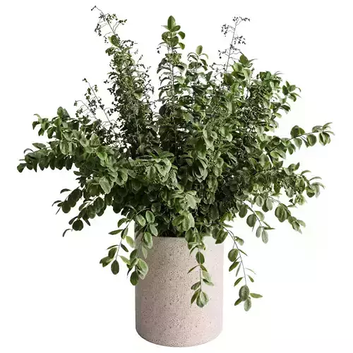 flowers plant in a bouquet concrete vase 59