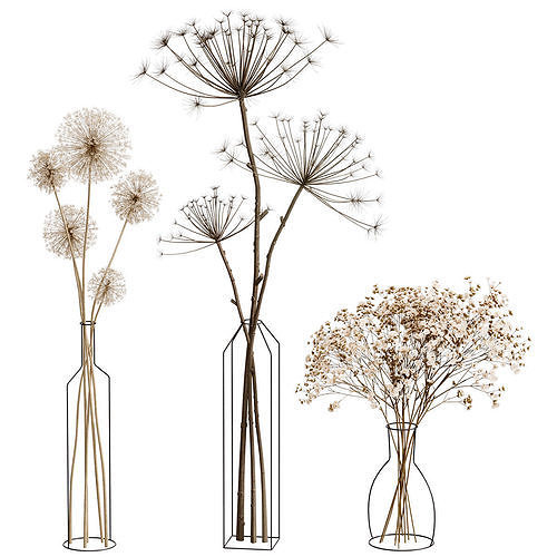 Flower In Vase  46 3D model