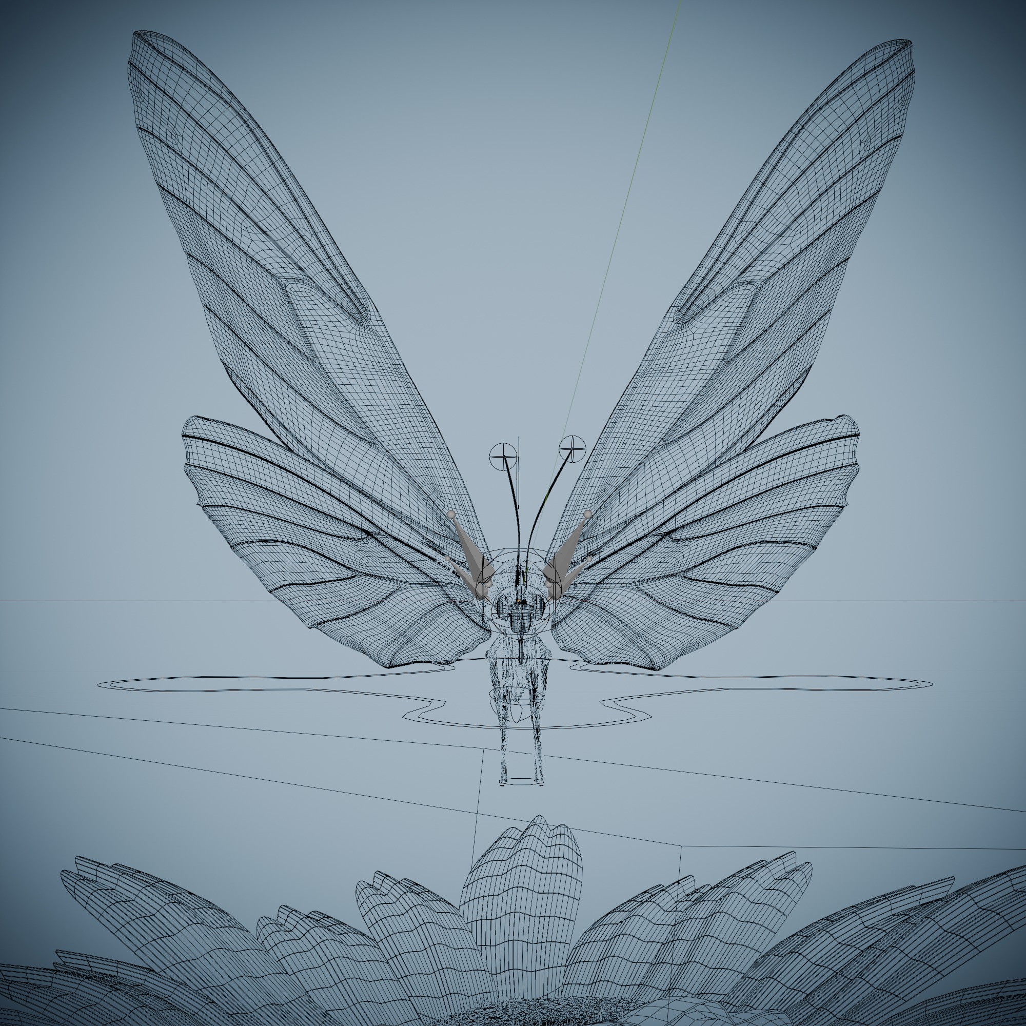 Butterfly Blue Titli Low-poly 3D model_15