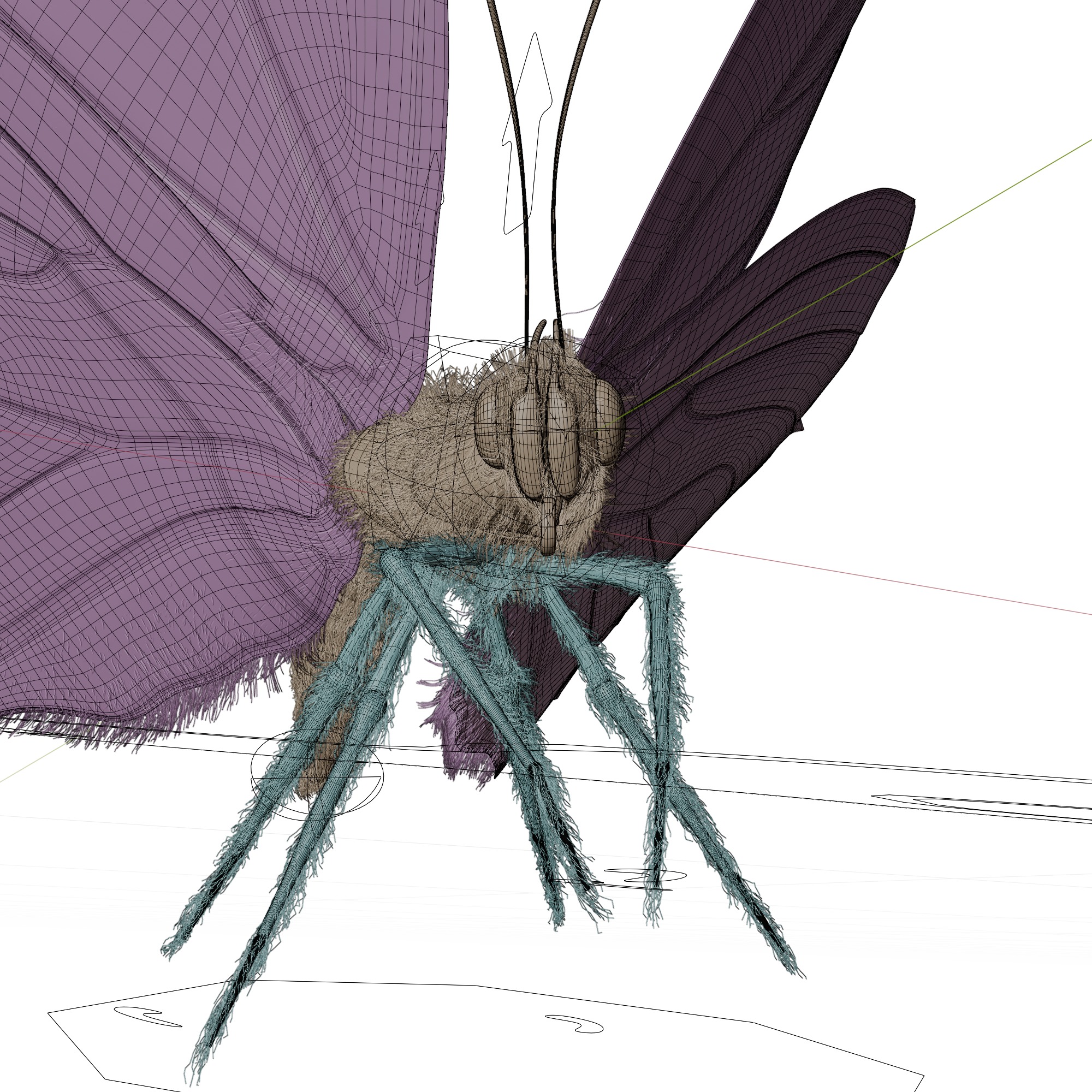 Butterfly Blue Titli Low-poly 3D model_19