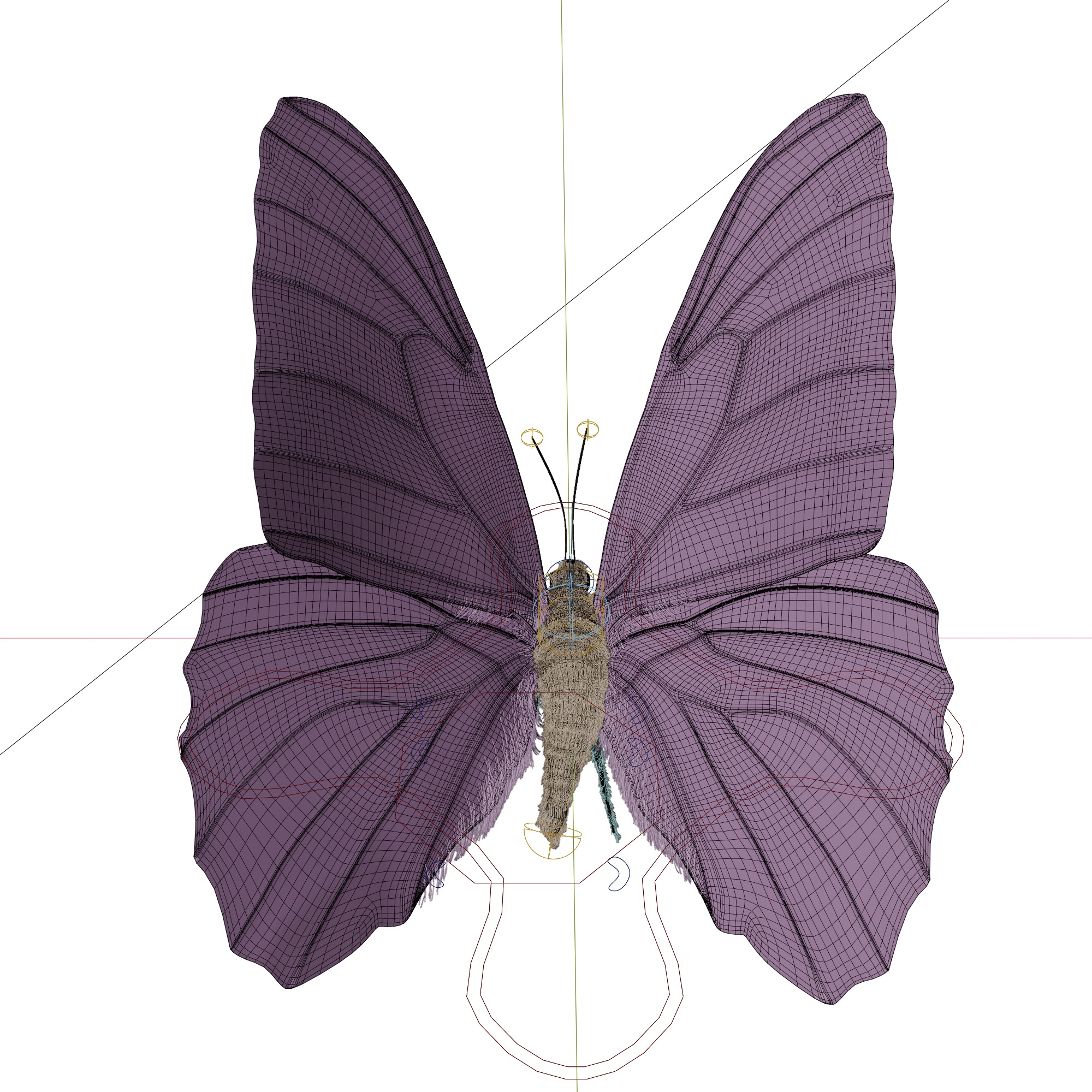 Butterfly Blue Titli Low-poly 3D model_17