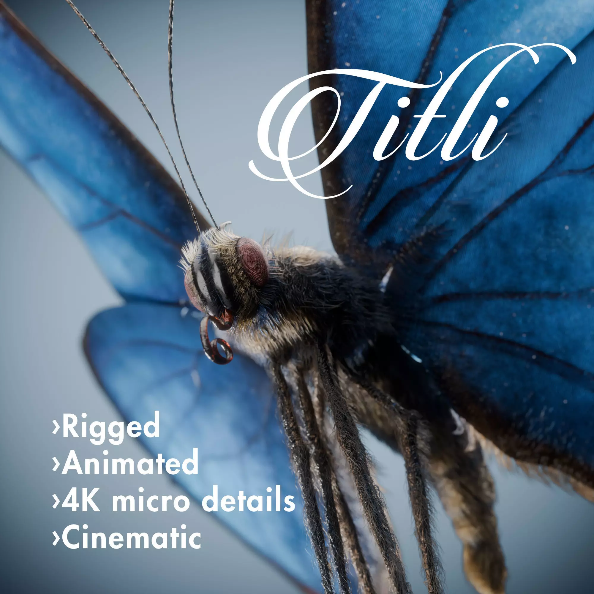 Butterfly Blue Titli Low-poly 3D model_0