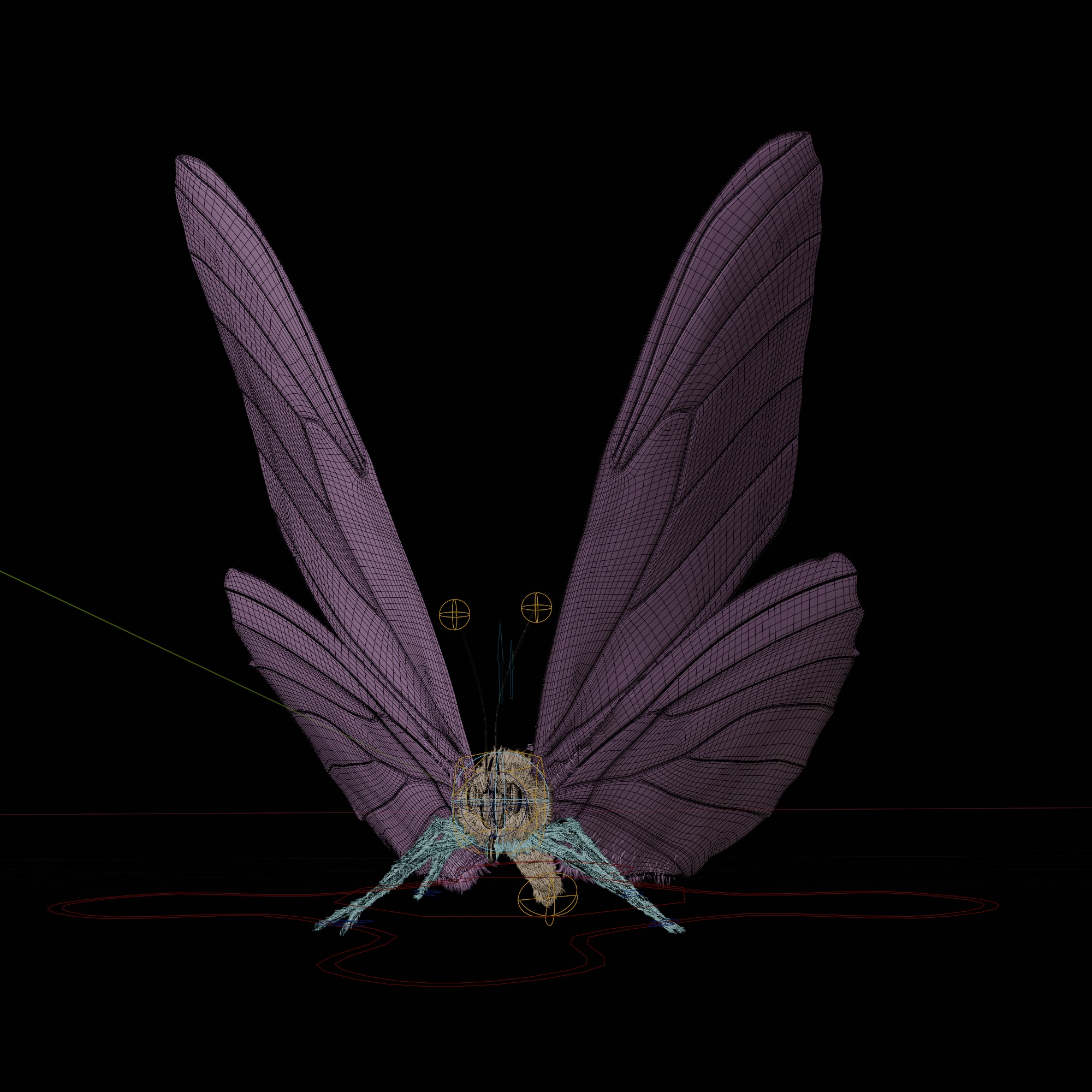 Butterfly Blue Titli Low-poly 3D model_16
