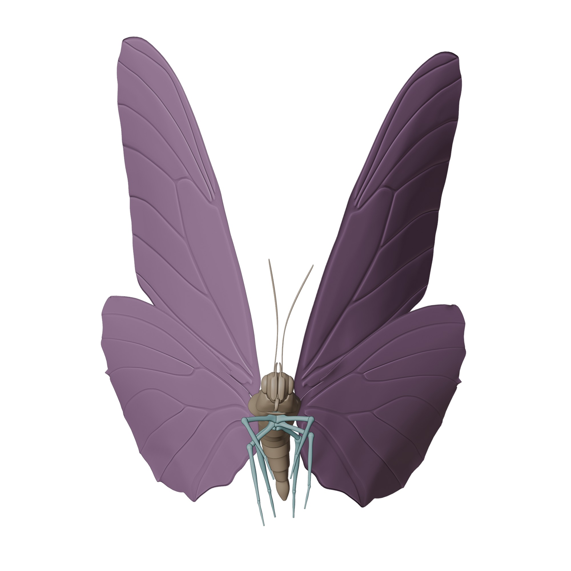 Butterfly Blue Titli Low-poly 3D model_20