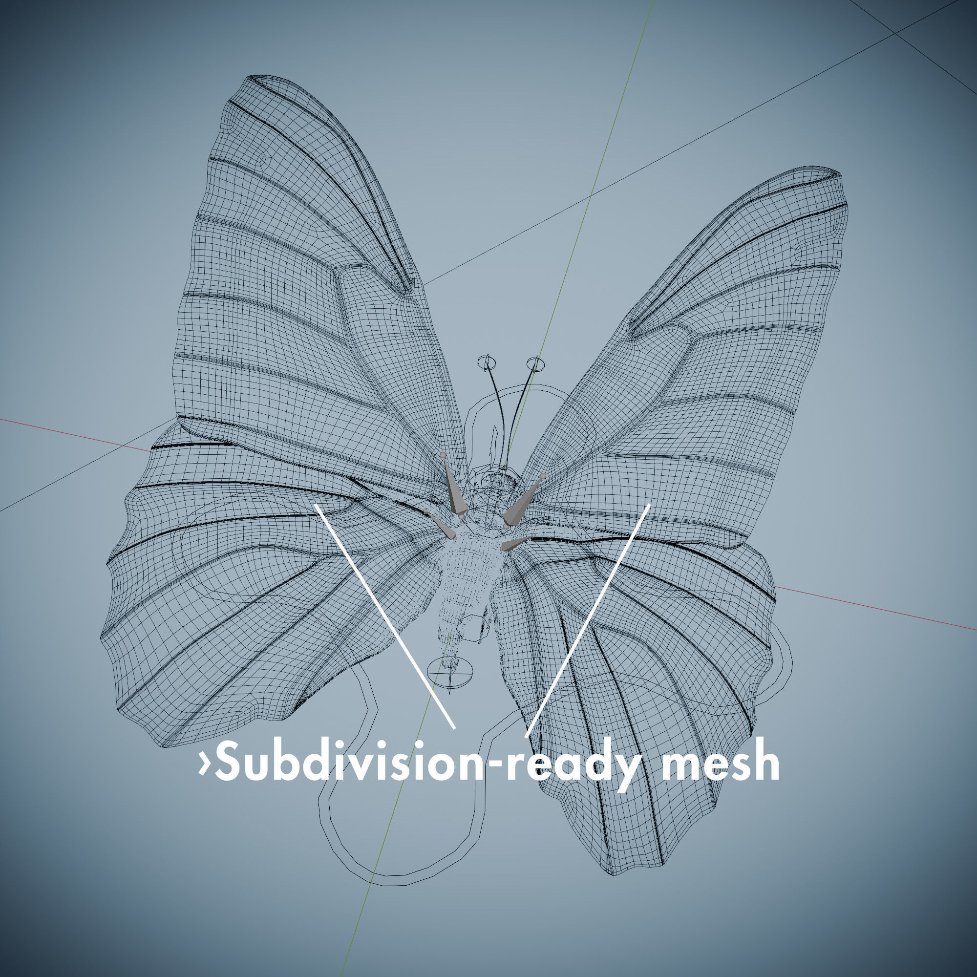 Butterfly Blue Titli Low-poly 3D model_6