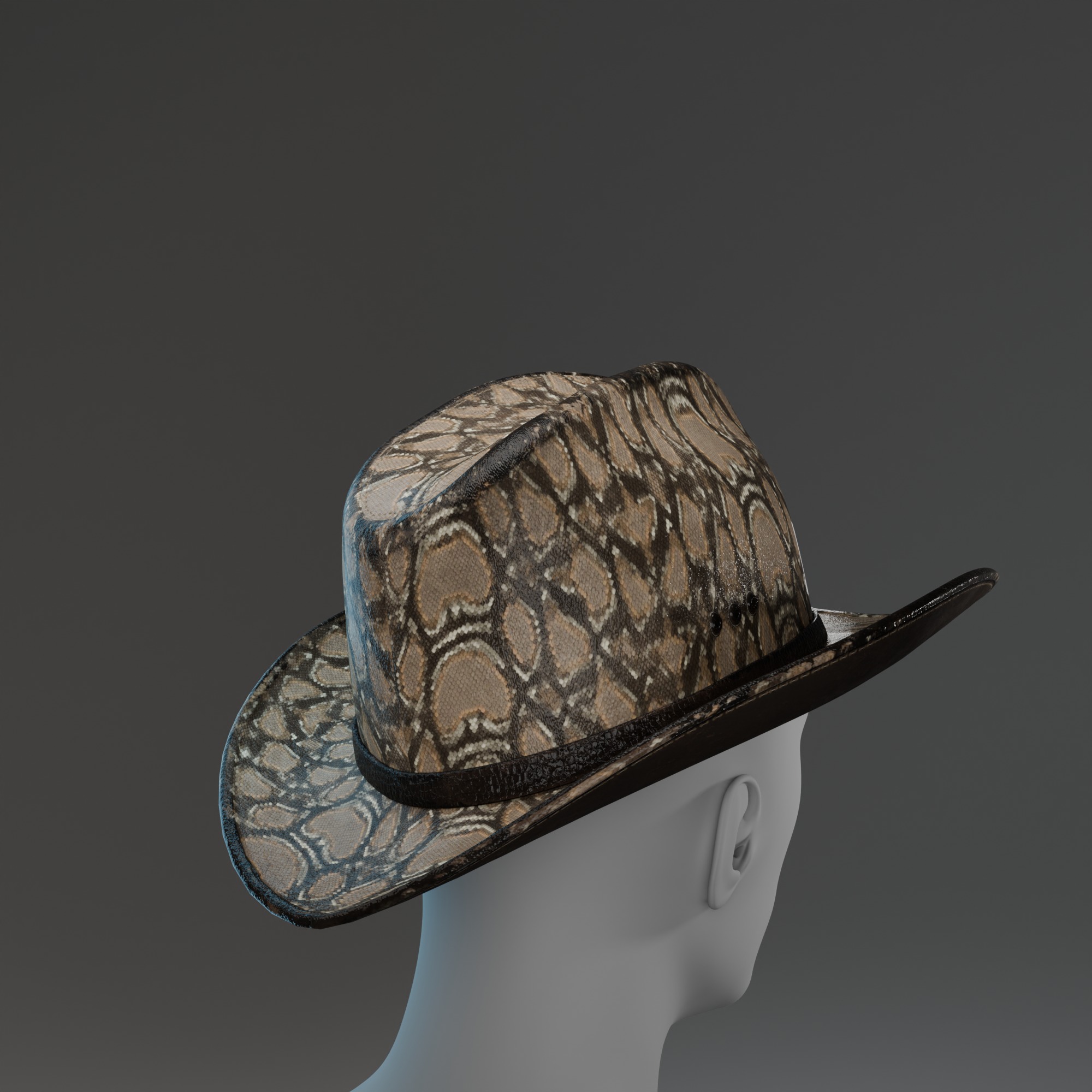 3D model of a cowboy hat with snakeskin texture Low-poly 3D model_6