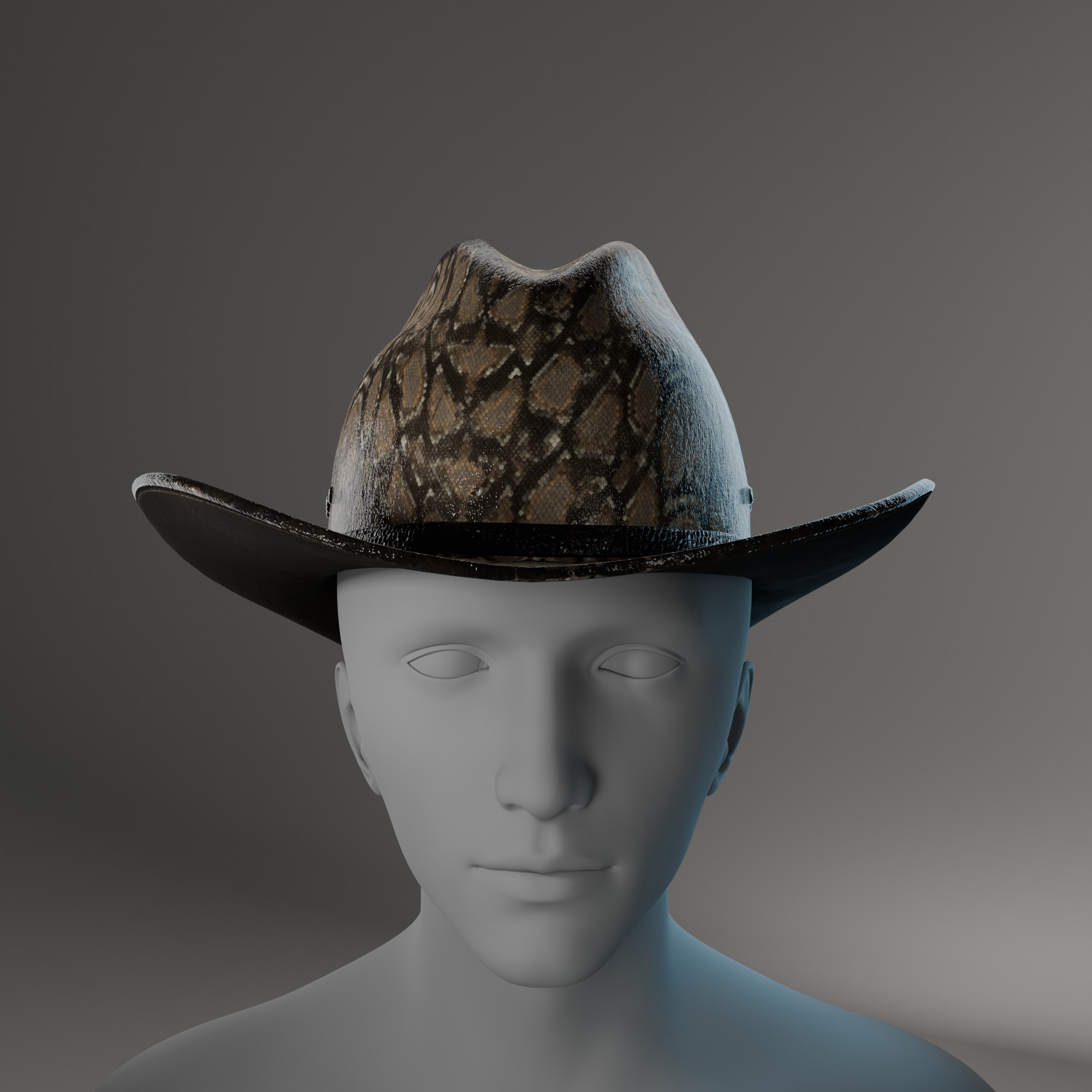 3D model of a cowboy hat with snakeskin texture Low-poly 3D model_5