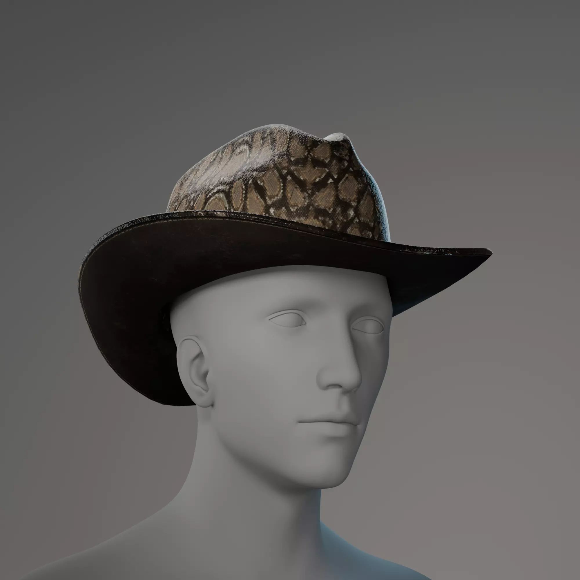3D model of a cowboy hat with snakeskin texture Low-poly 3D model_0