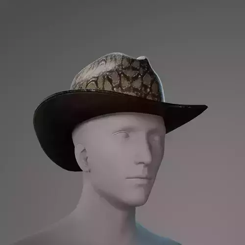 3D model of a cowboy hat with snakeskin texture Low-poly 3D model