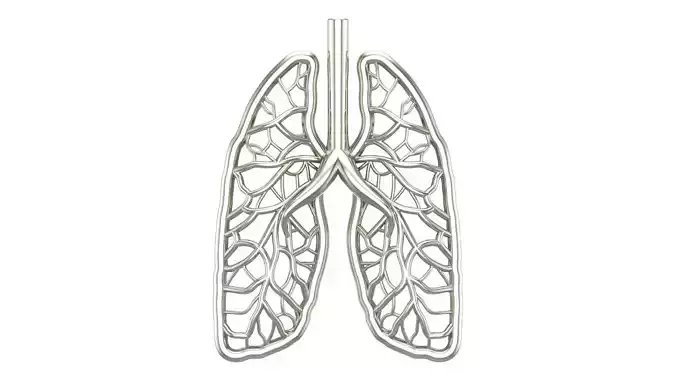 lungs pendant