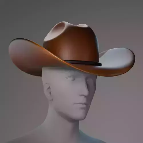 Brown Cowboy Hat 3D Model Low-poly 3D model