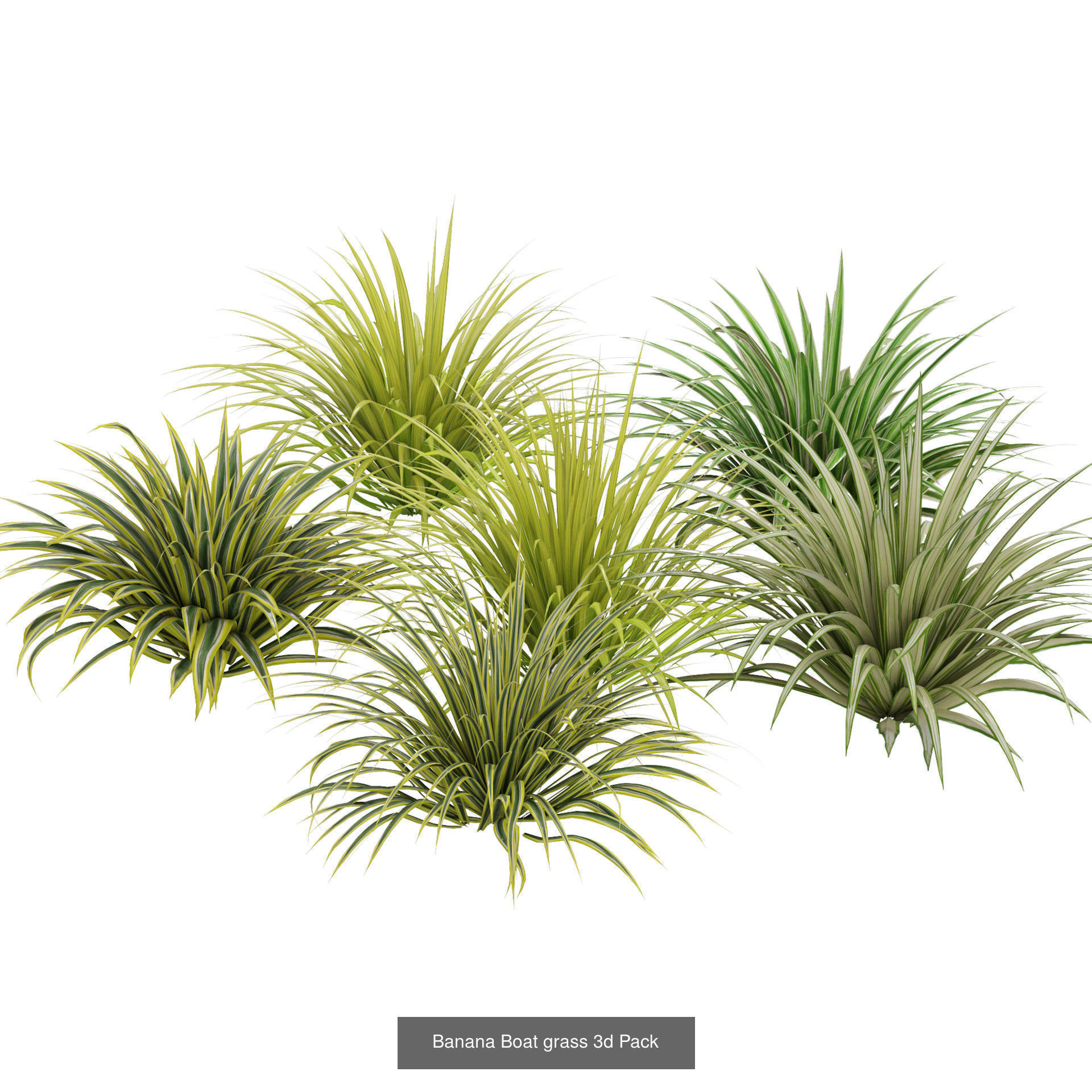55 Low-Poly Grass Types 3D Model Collection_22
