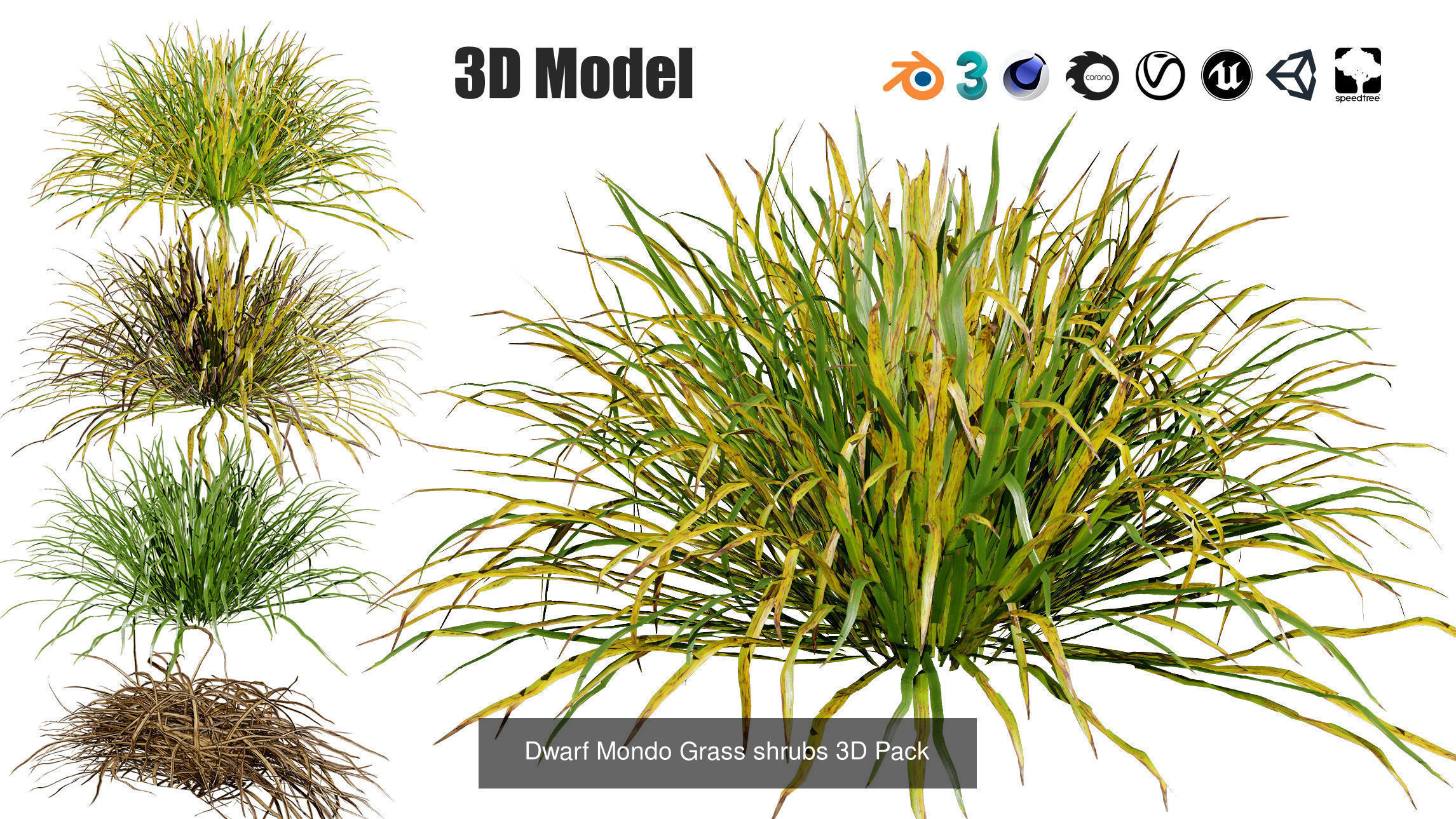 55 Low-Poly Grass Types 3D Model Collection_24