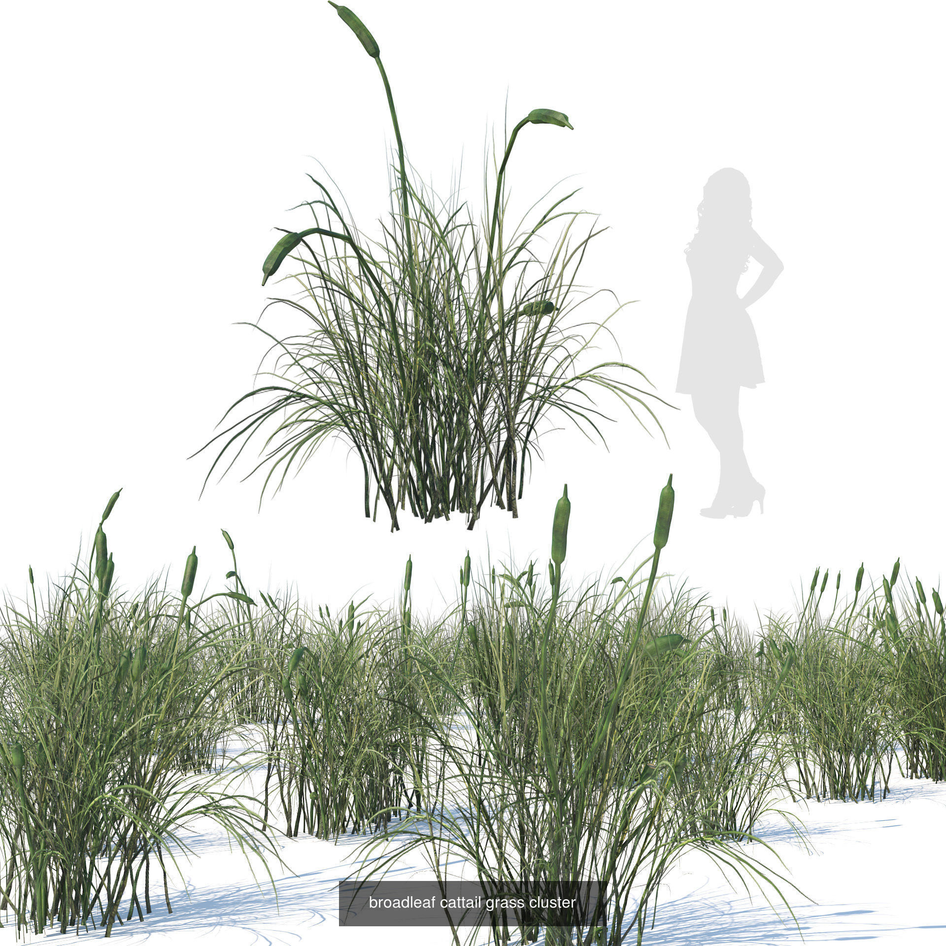 55 Low-Poly Grass Types 3D Model Collection_20