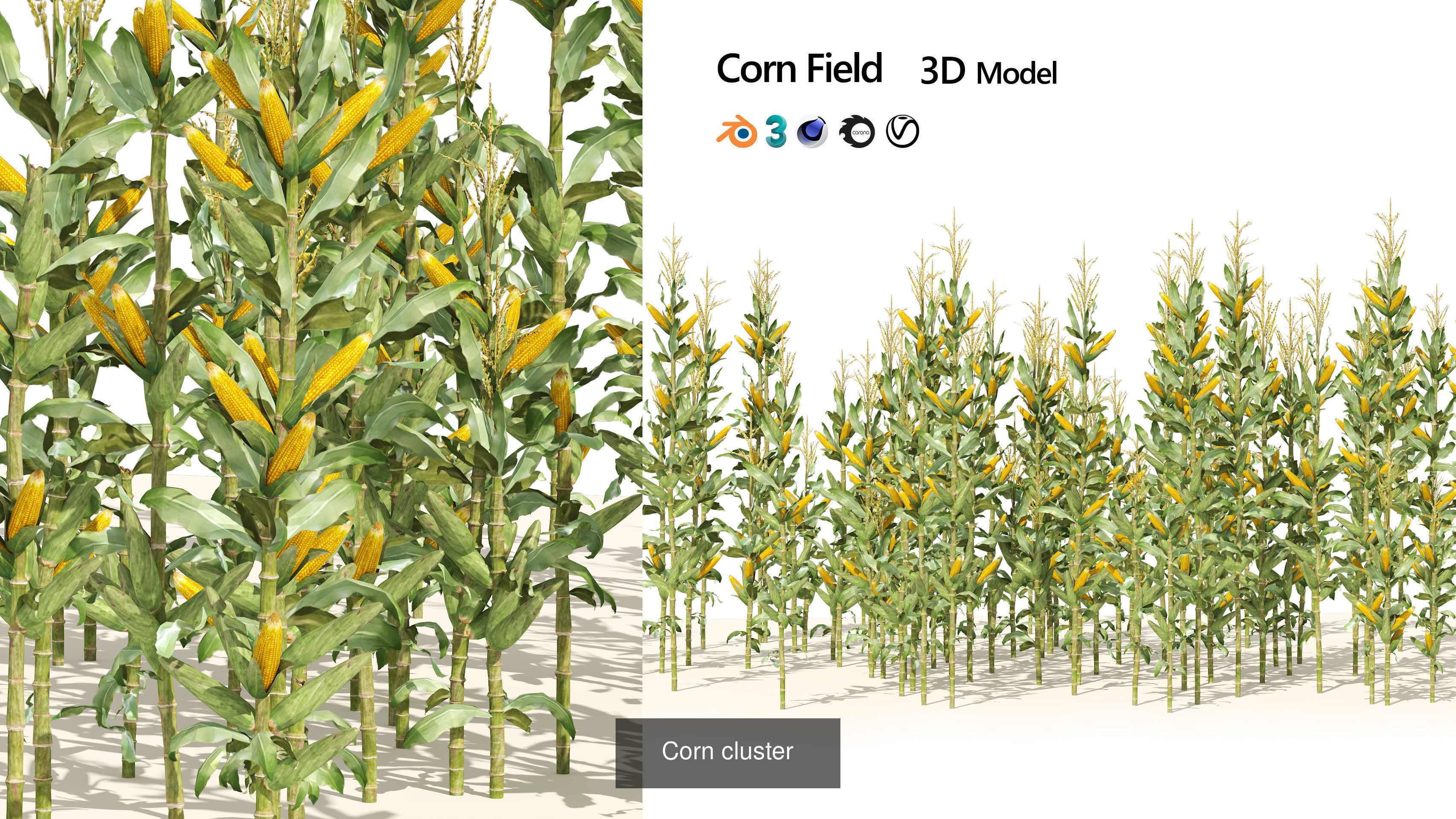 55 Low-Poly Grass Types 3D Model Collection_17