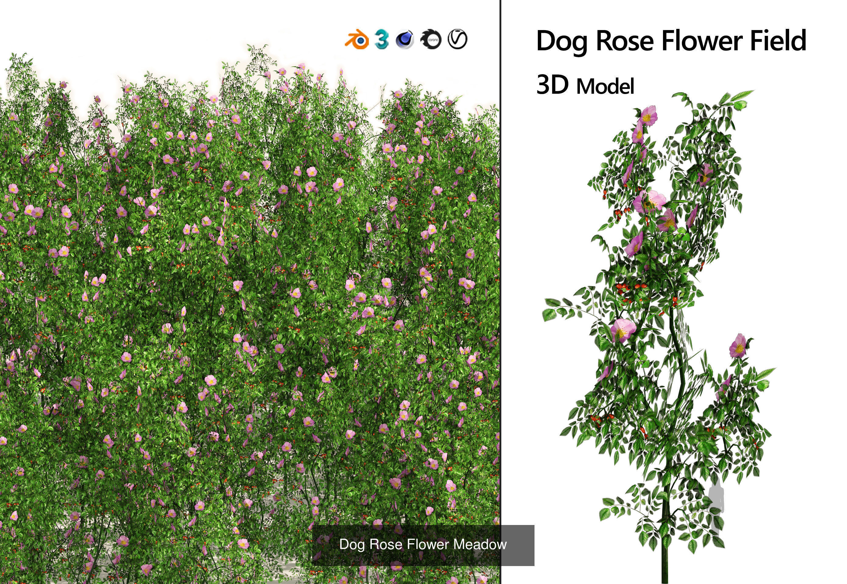 55 Low-Poly Grass Types 3D Model Collection_16