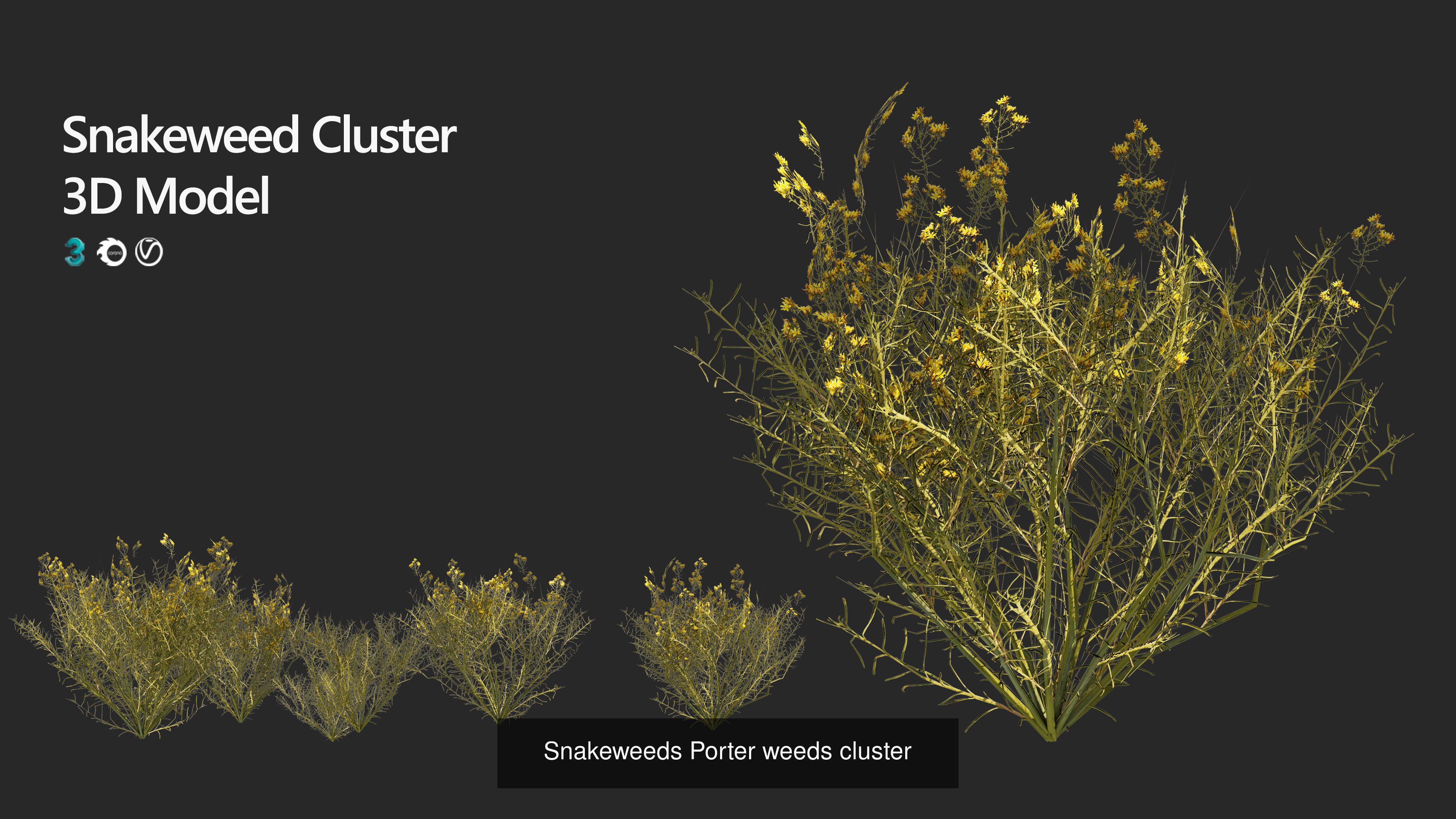 55 Low-Poly Grass Types 3D Model Collection_13