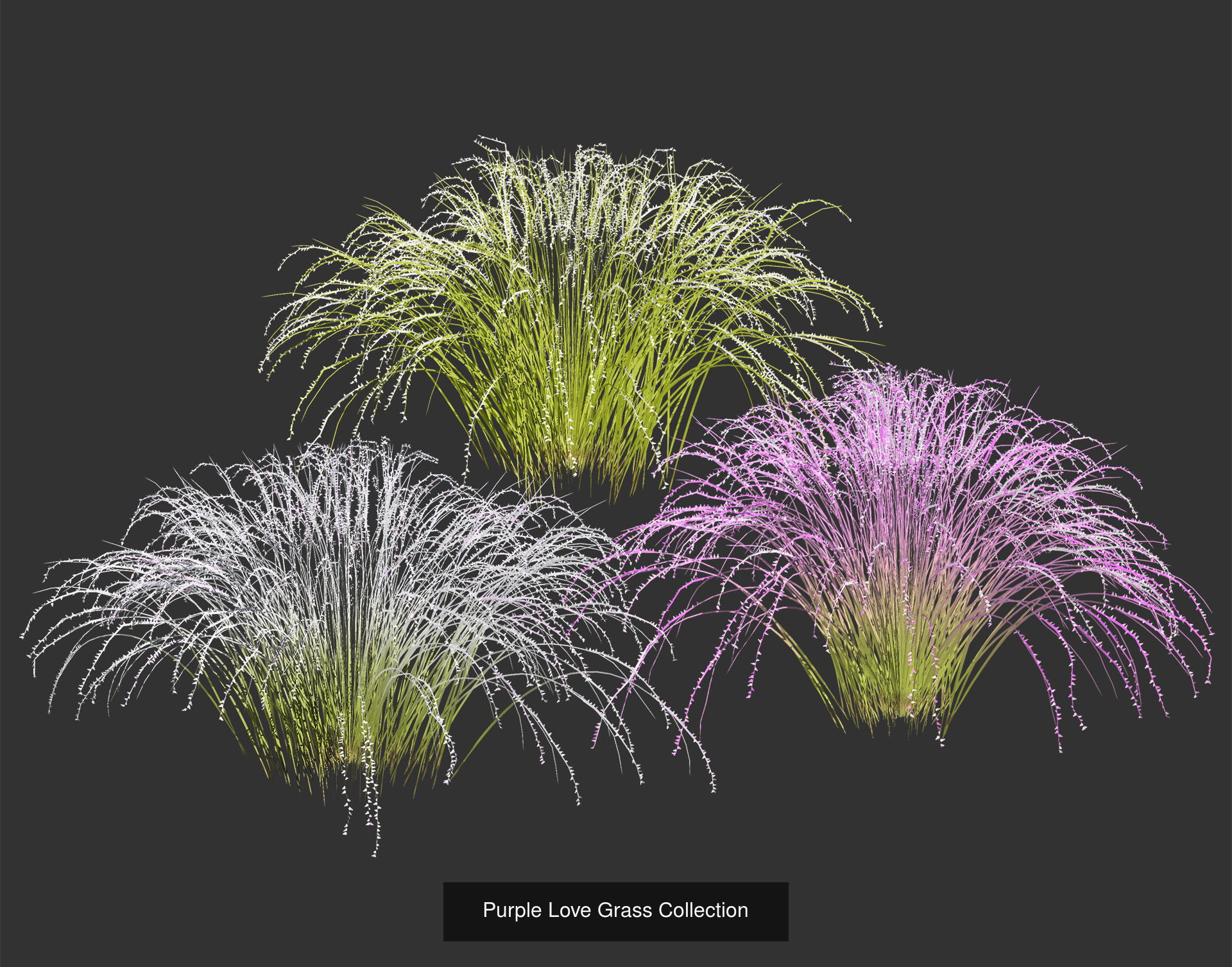 55 Low-Poly Grass Types 3D Model Collection_27