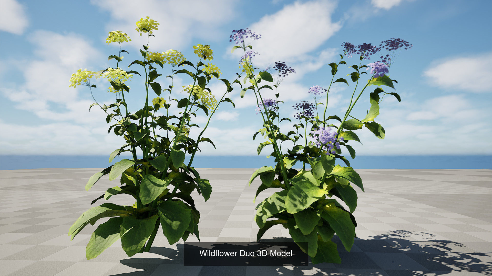 55 Low-Poly Grass Types 3D Model Collection_28