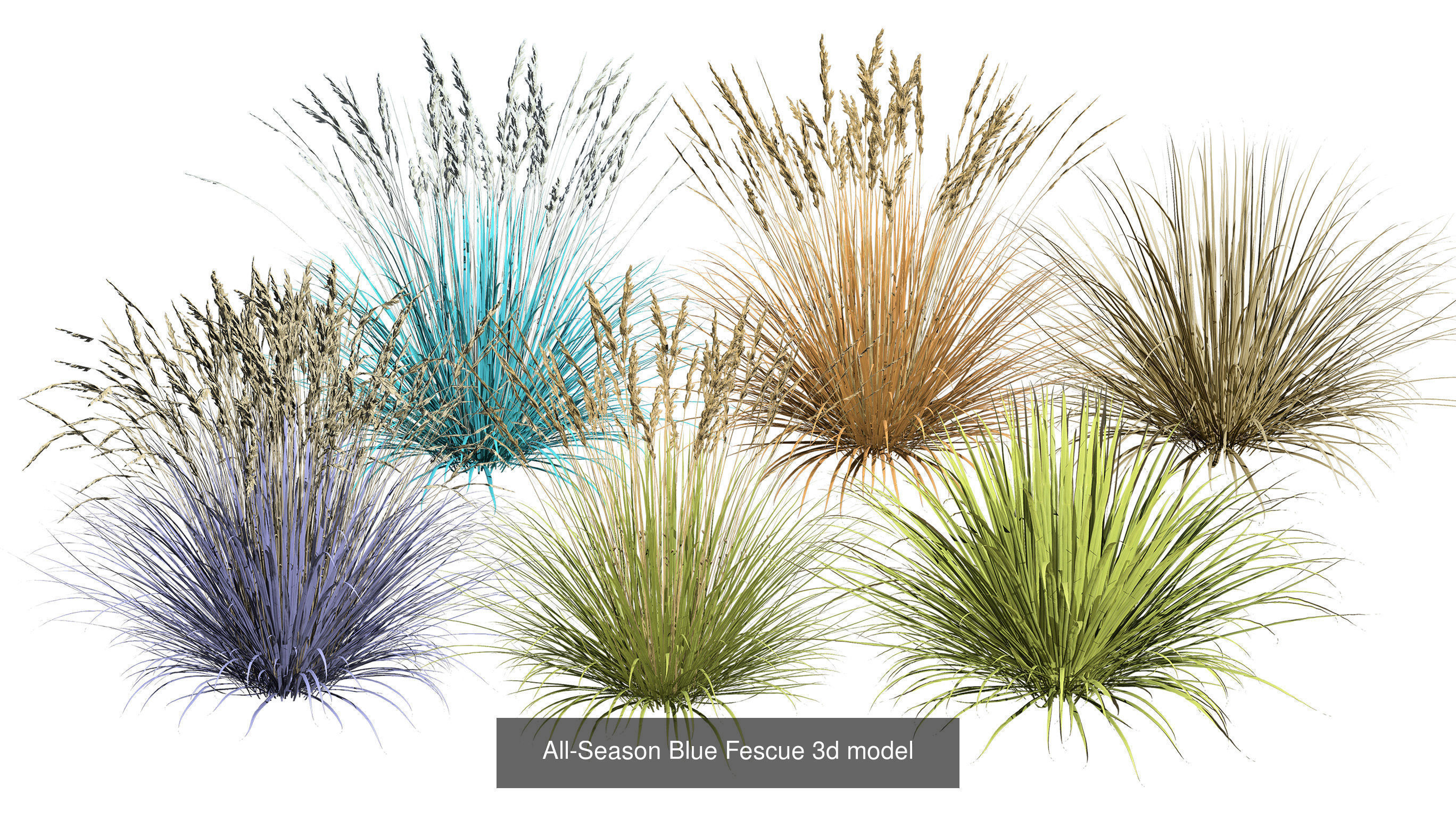 55 Low-Poly Grass Types 3D Model Collection_23