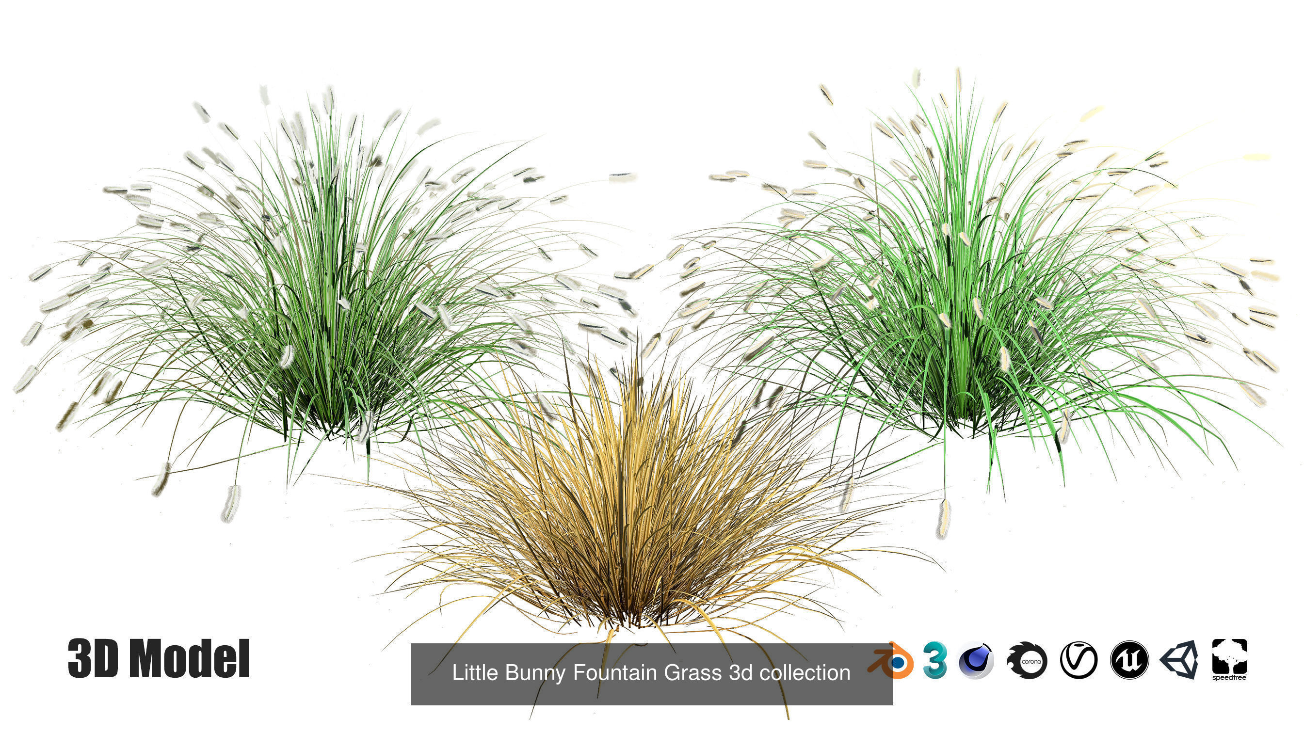 55 Low-Poly Grass Types 3D Model Collection_25
