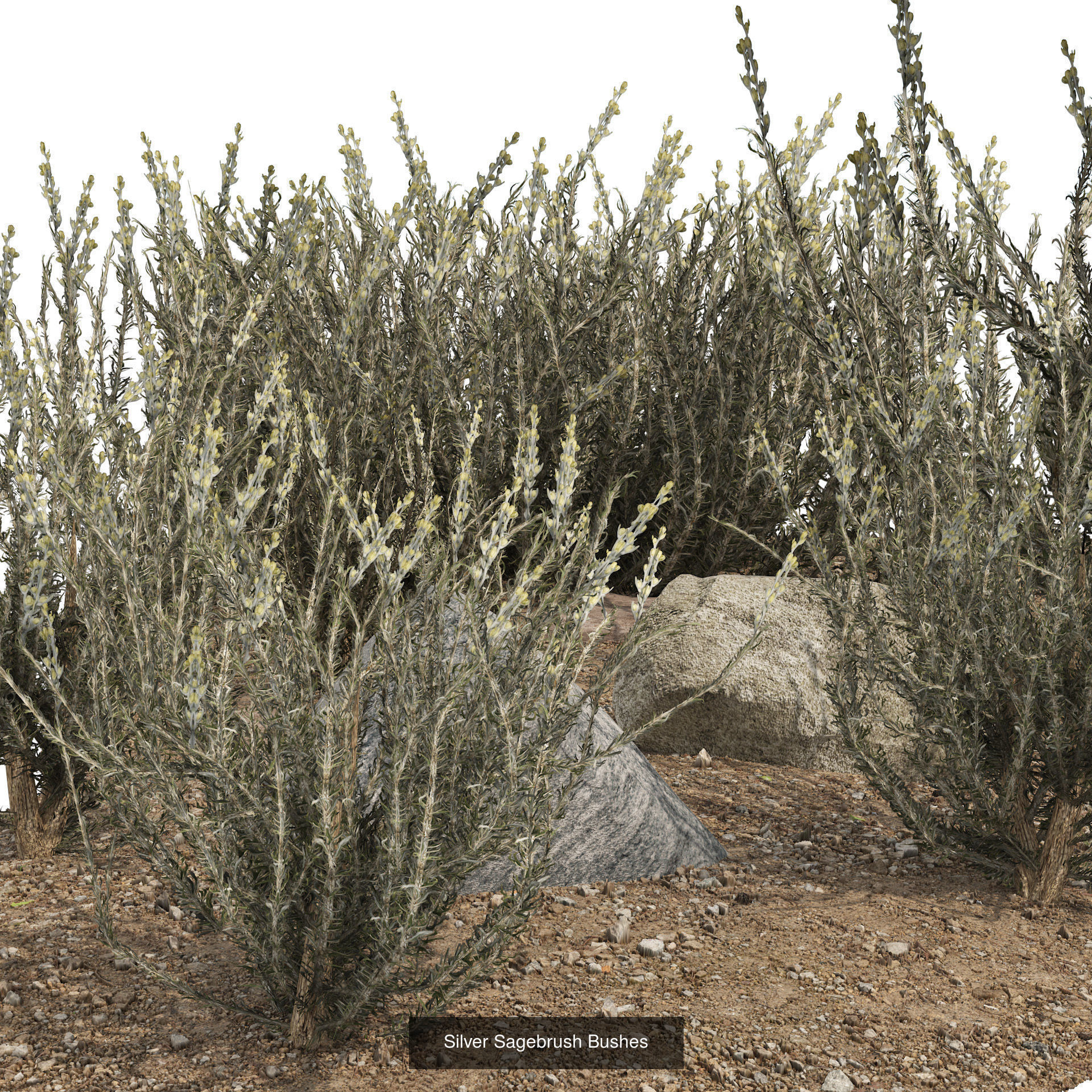 55 Low-Poly Grass Types 3D Model Collection_19