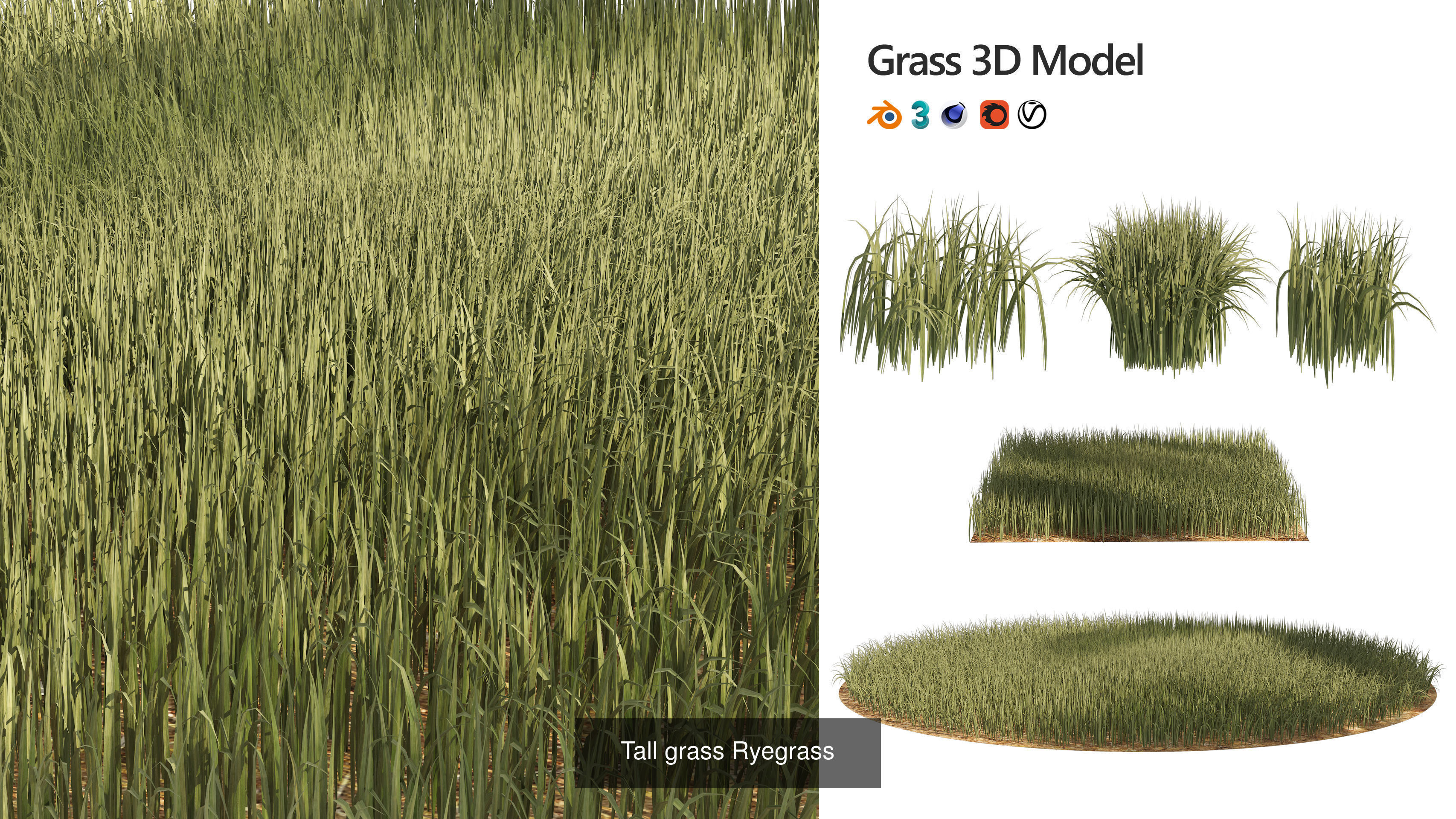 55 Low-Poly Grass Types 3D Model Collection_11
