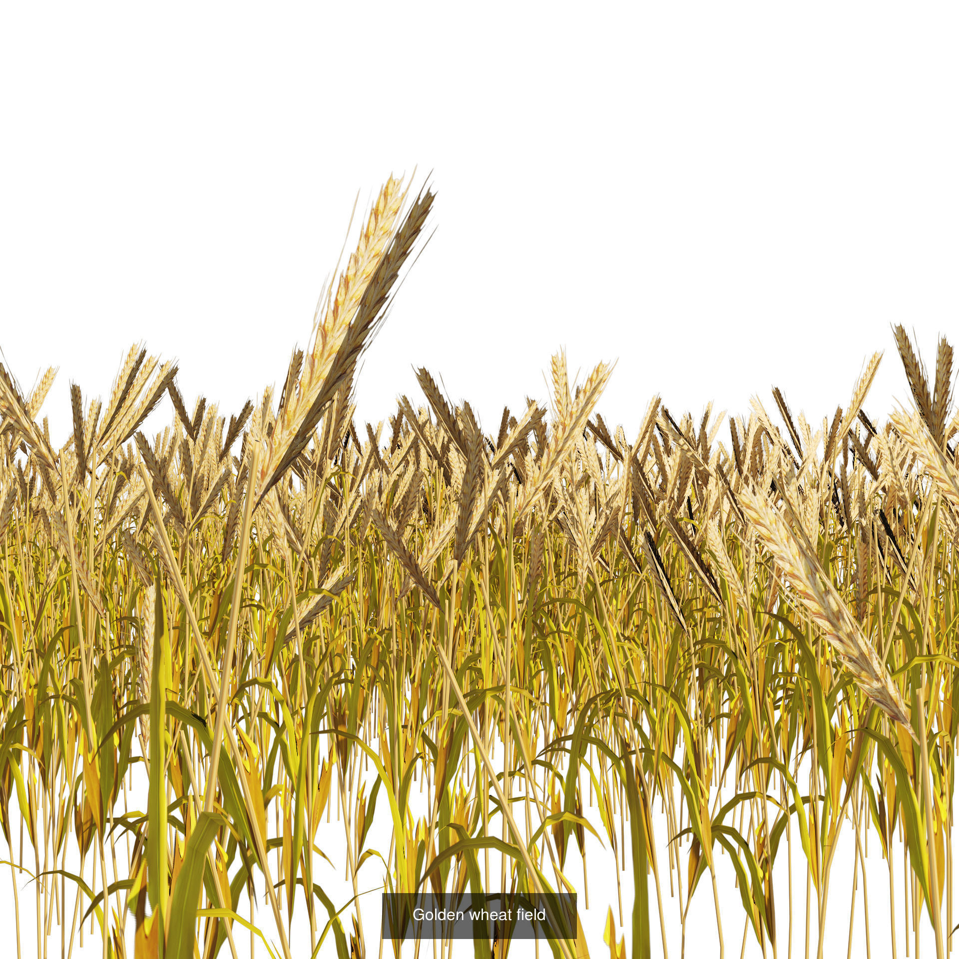 55 Low-Poly Grass Types 3D Model Collection_14