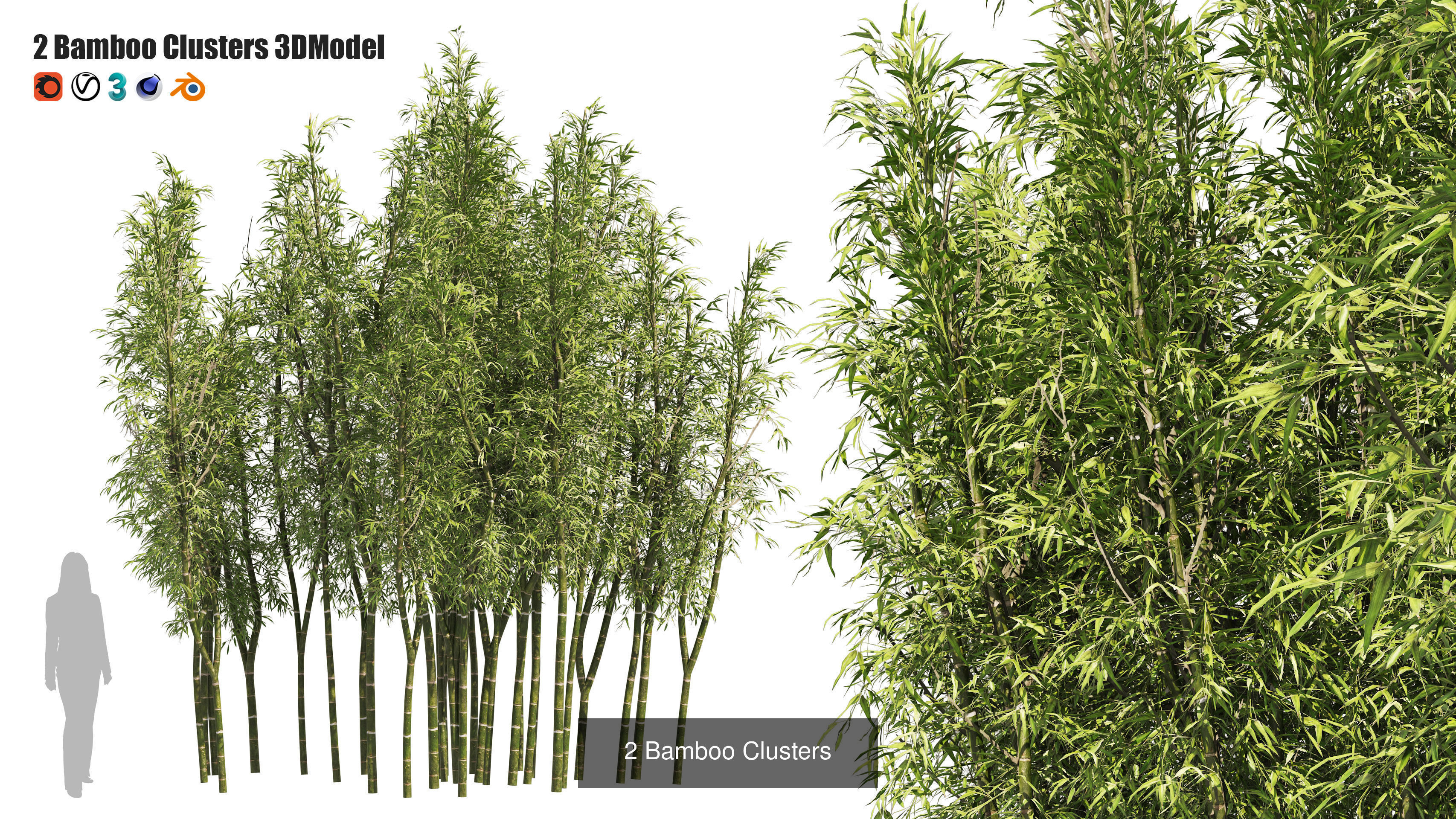 55 Low-Poly Grass Types 3D Model Collection_12