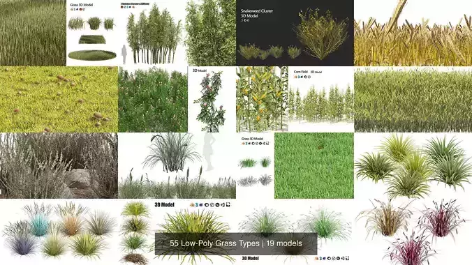 55 Low-Poly Grass Types 3D Model Collection