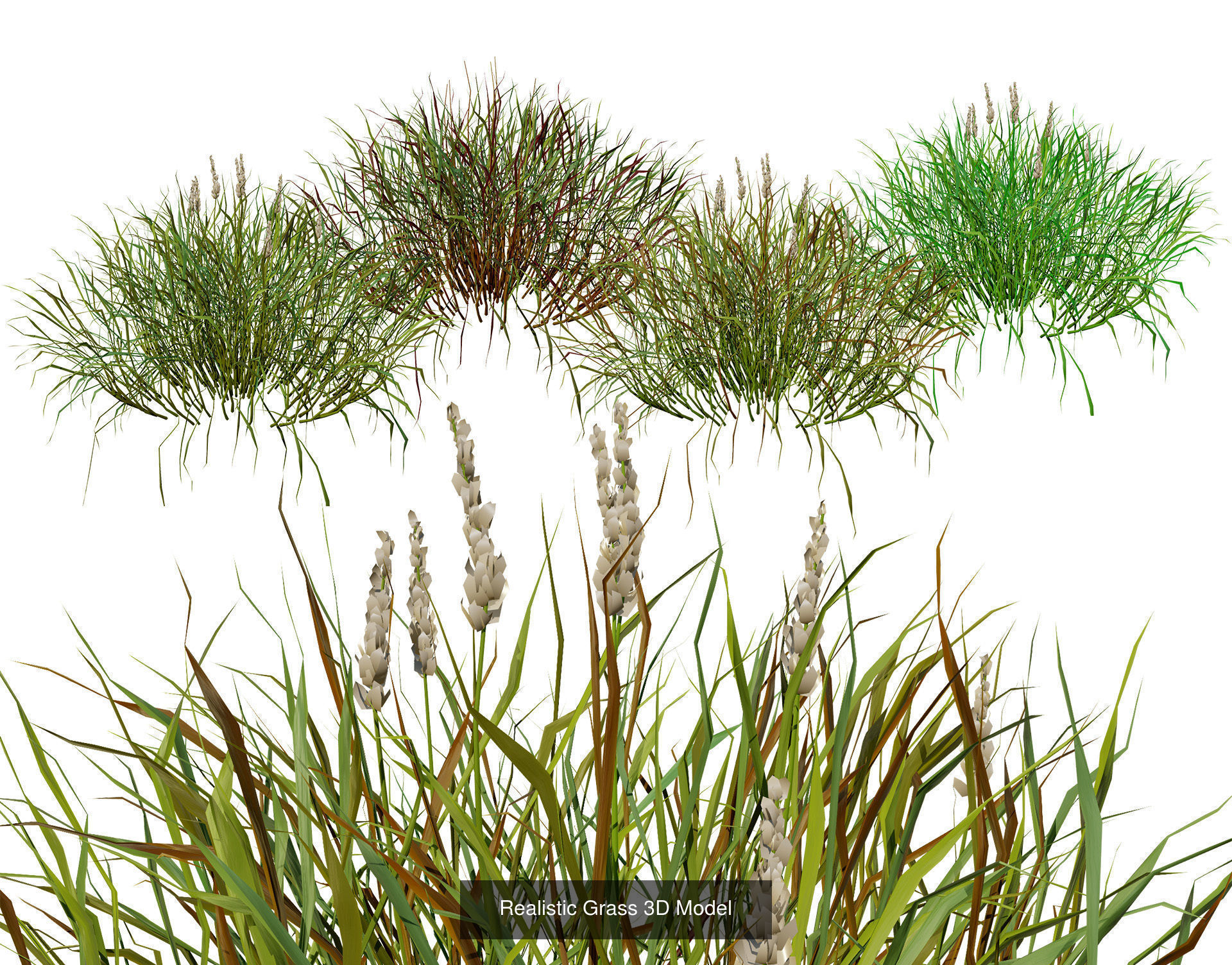 55 Low-Poly Grass Types 3D Model Collection_29