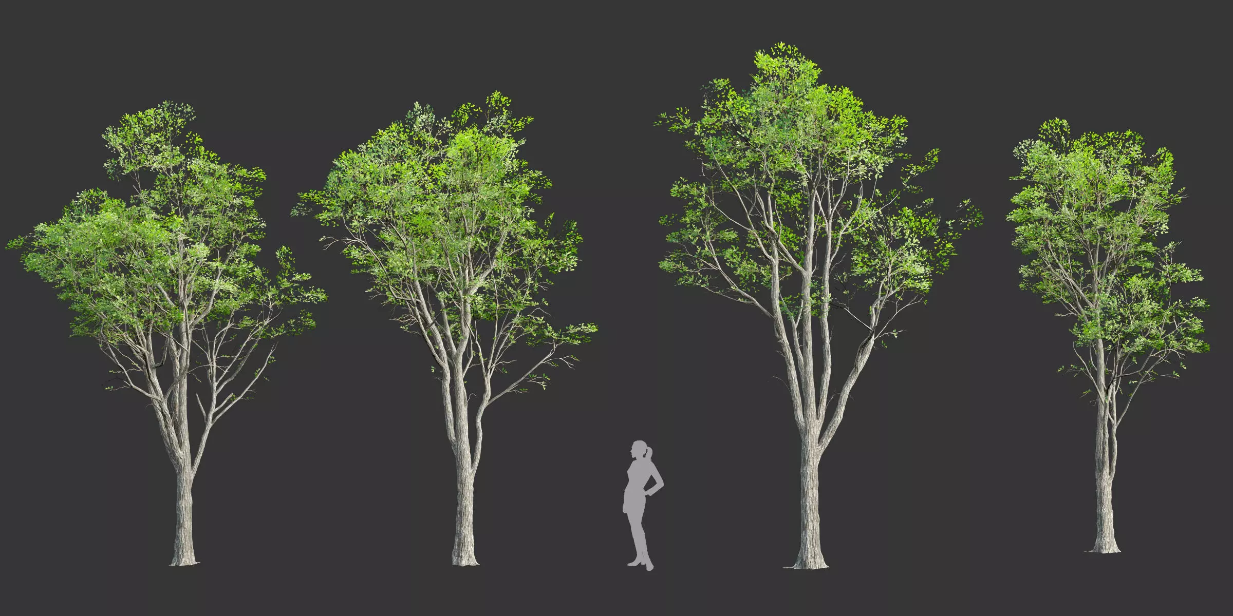 Oak trees 3d models collection vol 2 Blender 3D model_0