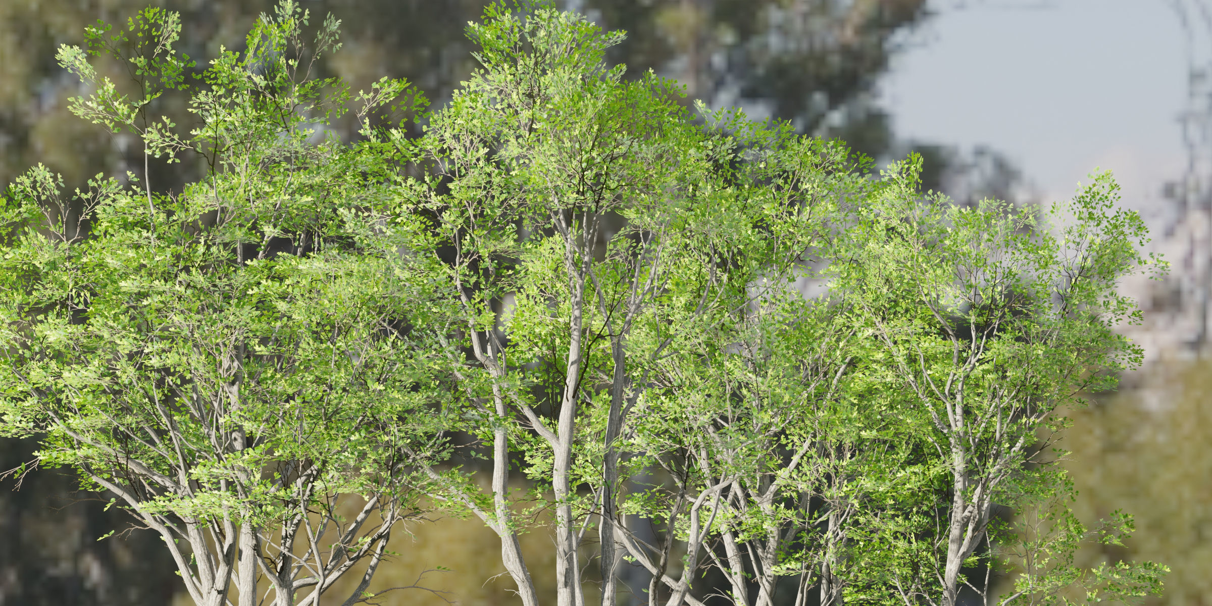 Oak trees 3d models collection vol 2 Blender 3D model_1